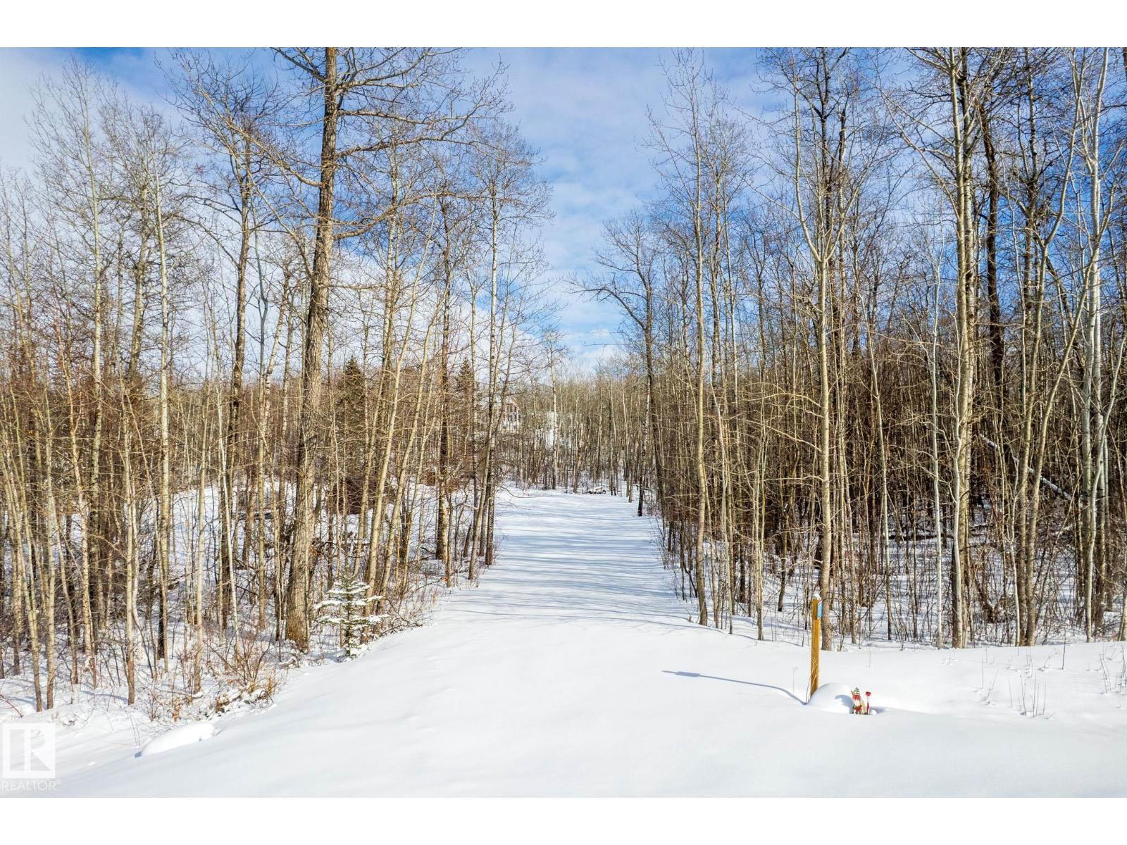 #17 56110 Rge Road 13, Rural Lac Ste. Anne County, Alberta  T0E 1V0 - Photo 2 - E4479388