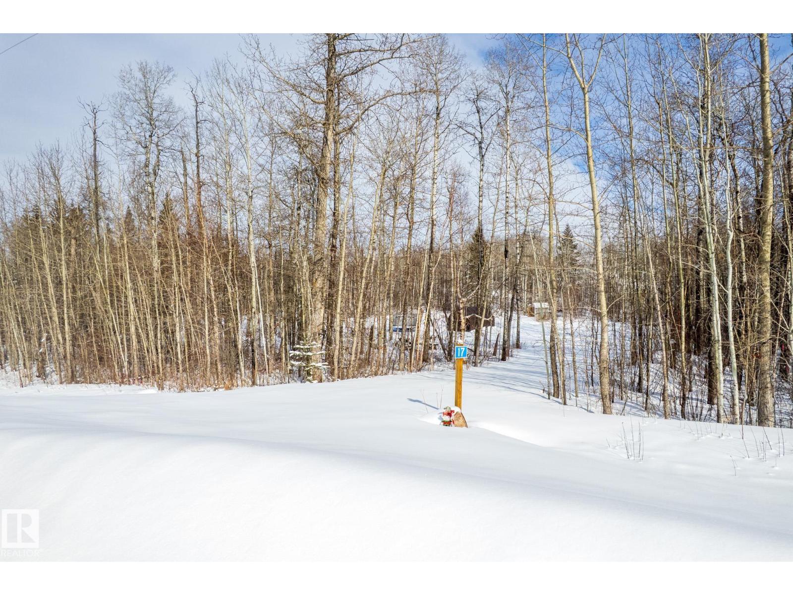 #17 56110 Rge Road 13, Rural Lac Ste. Anne County, Alberta  T0E 1V0 - Photo 3 - E4479388