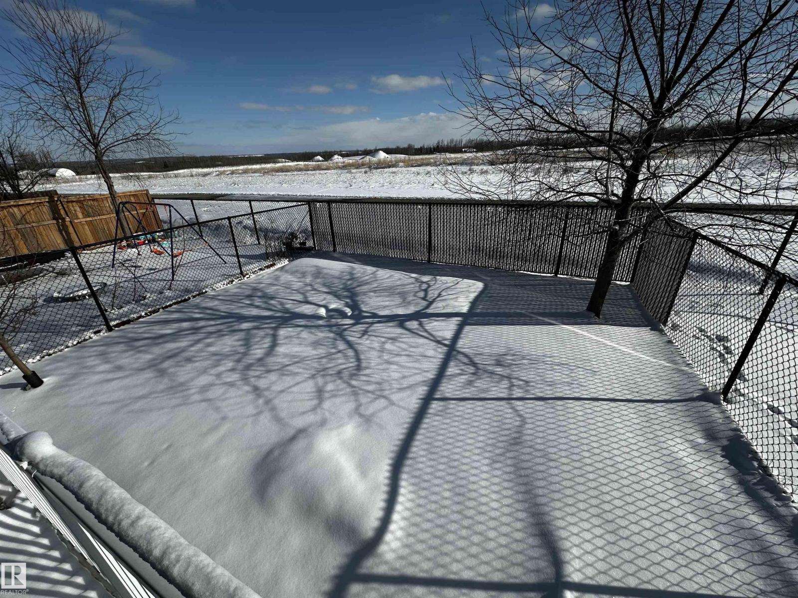 4019 41b Ave, Drayton Valley, Alberta  T7A 0B5 - Photo 4 - E4479513