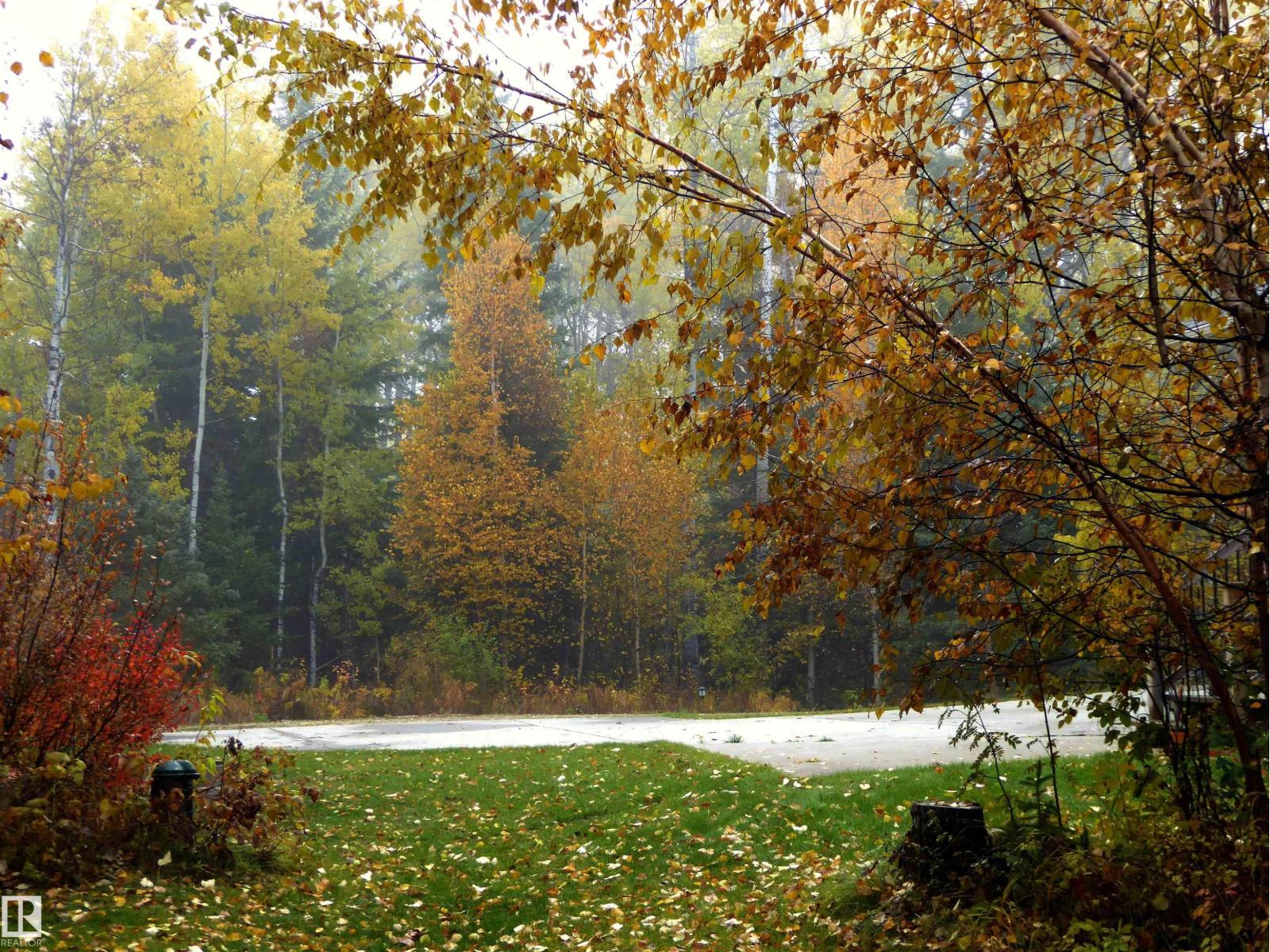 8316 Hwy 16a, Rural Yellowhead, Alberta T0E 0T0 - Photo 63 - E4479628