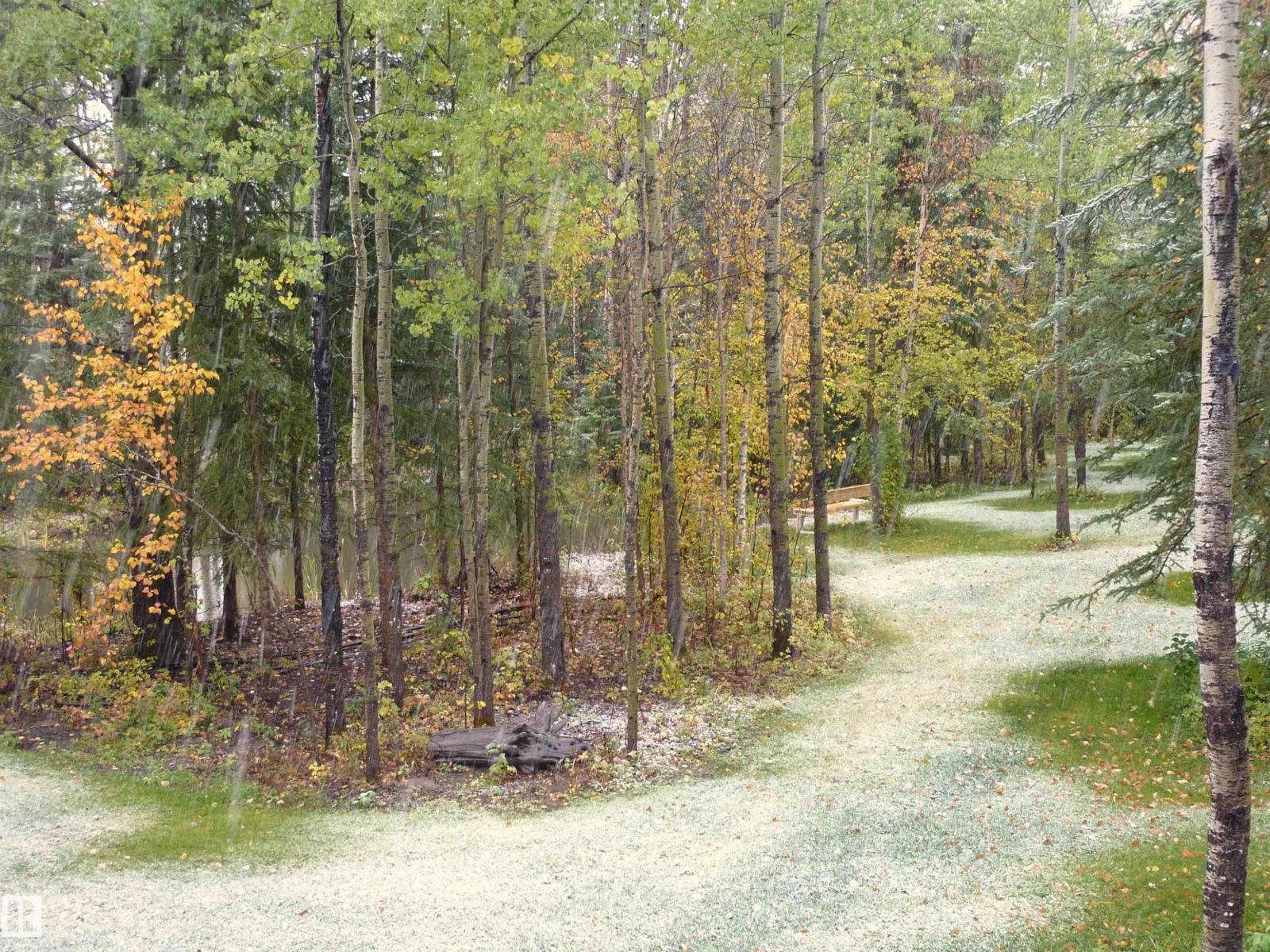 8316 Hwy 16a, Rural Yellowhead, Alberta T0E 0T0 - Photo 64 - E4479628