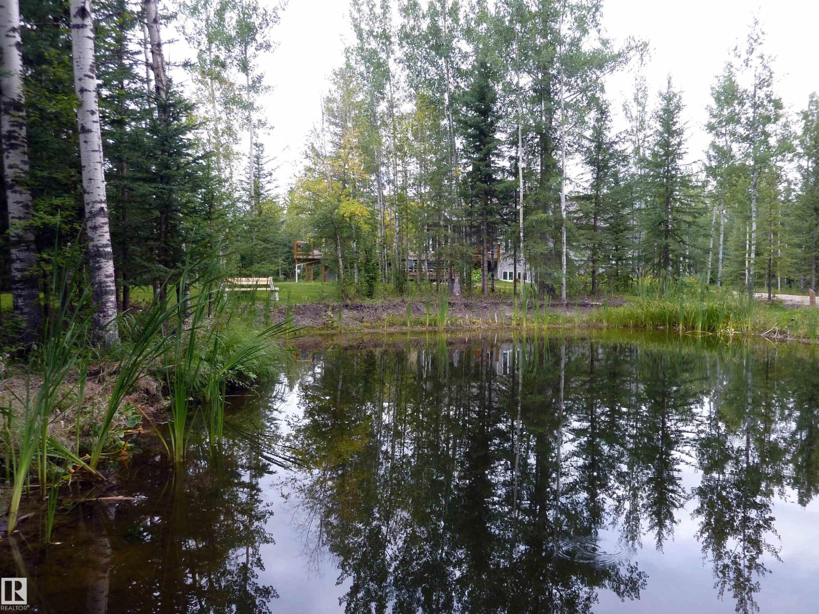 8316 Hwy 16a, Rural Yellowhead, Alberta T0E 0T0 - Photo 65 - E4479628