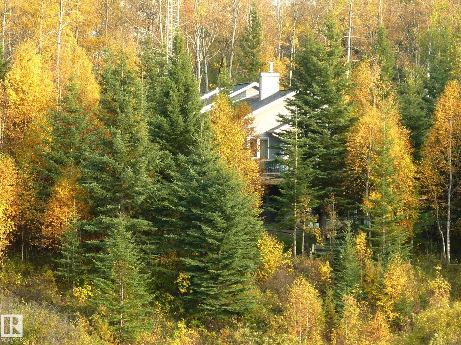 8316 Hwy 16a, Rural Yellowhead, Alberta T0E 0T0 - Photo 67 - E4479628