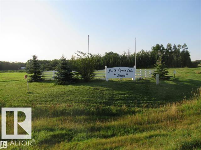 15 North Pigeon Lake Es, Rural Wetaskiwin County, Alberta  T0C 2C0 - Photo 1 - E4479914