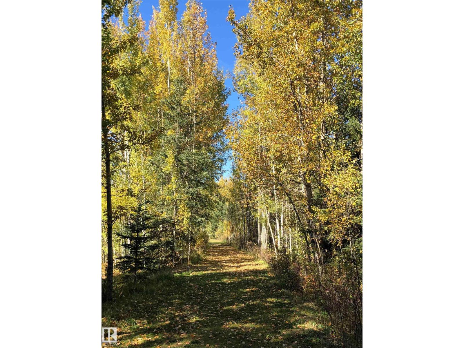 463025 Rge Road 40 A, Rural Wetaskiwin County, Alberta  T0C 2X0 - Photo 22 - E4479994