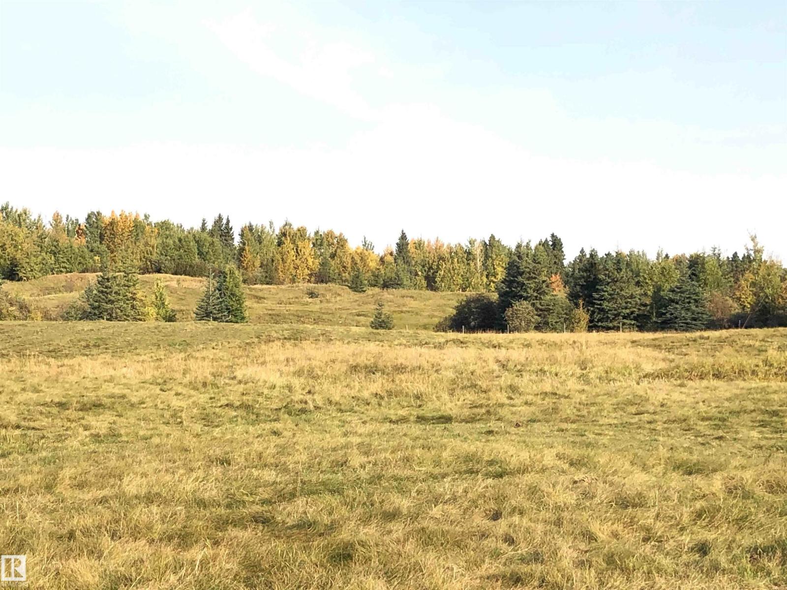 463025 Rge Road 40 A, Rural Wetaskiwin County, Alberta  T0C 2X0 - Photo 23 - E4479994