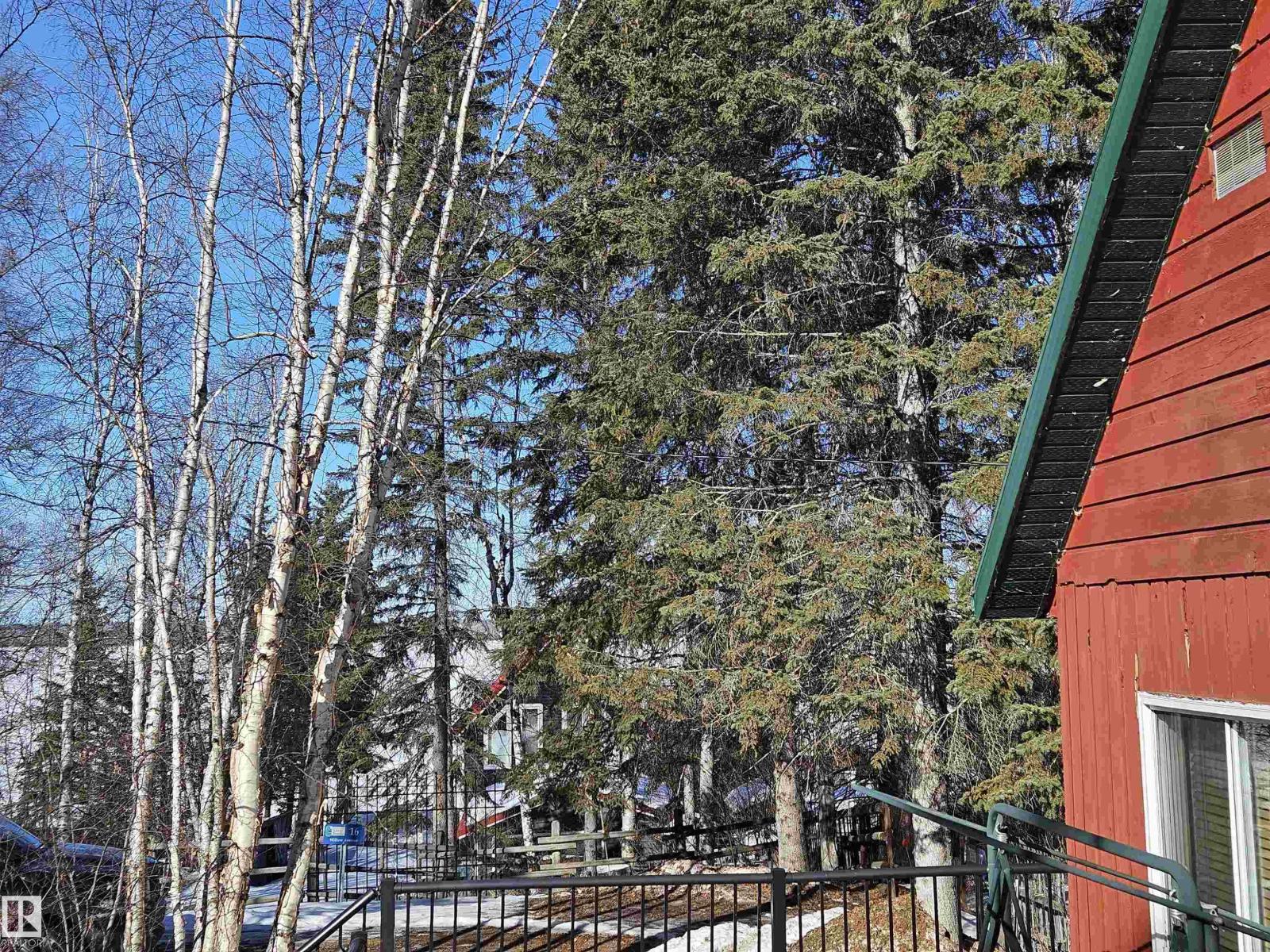 18 Willow Av, Rural Lac Ste. Anne County, Alberta  T0E 0V0 - Photo 33 - E4480007