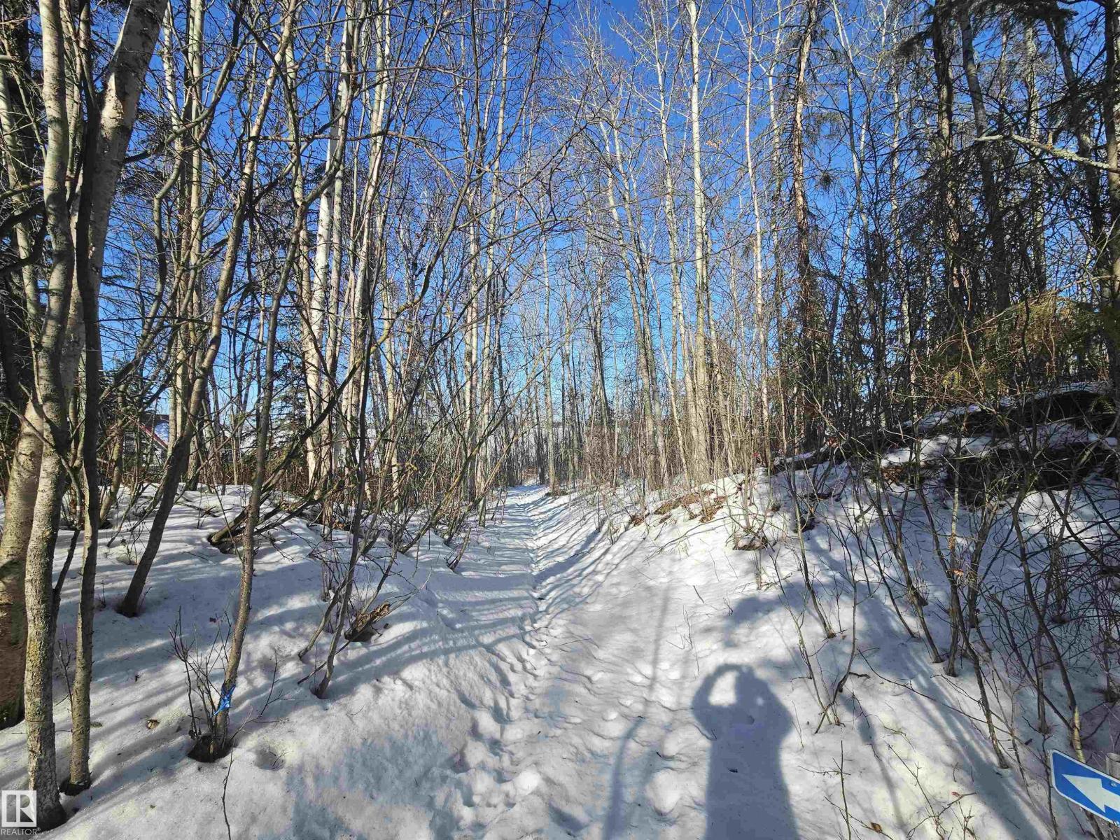 18 Willow Av, Rural Lac Ste. Anne County, Alberta  T0E 0V0 - Photo 38 - E4480007