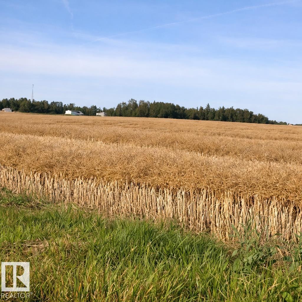 475031b Rge Road 251, Rural Wetaskiwin County, Alberta  T0C 1Z0 - Photo 62 - E4480345