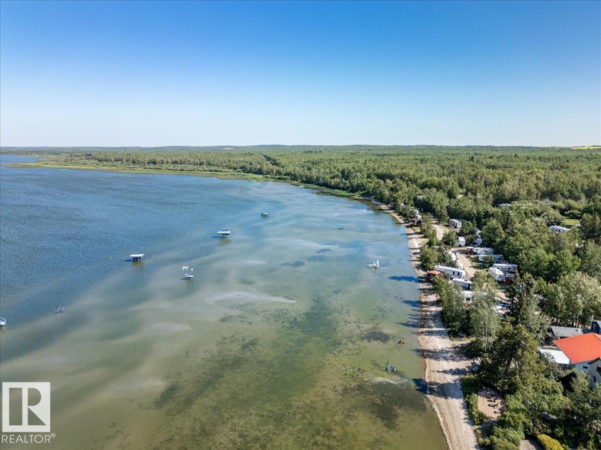 101 1st Ave Mameo Beach, Rural Wetaskiwin County, Alberta  T0C 1X0 - Photo 38 - E4480574