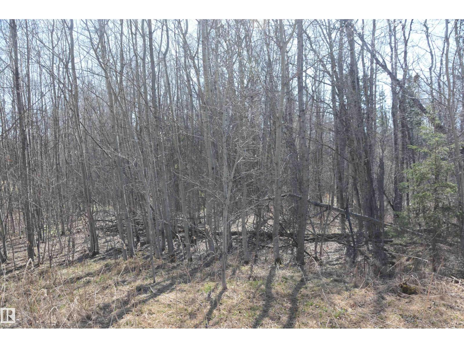 4 2306 Twp Road 540, Rural Lac Ste. Anne County, Alberta T0E 1V0 - Photo 12 - E4480625