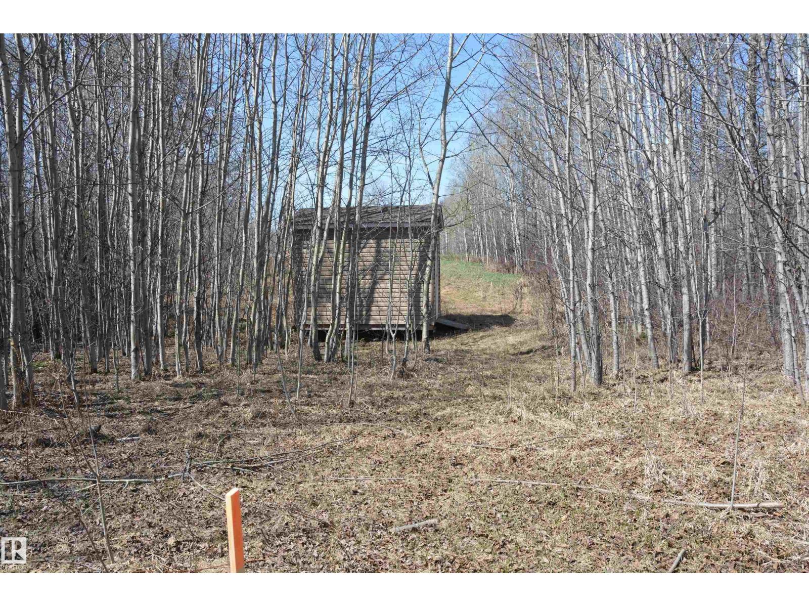 4 2306 Twp Road 540, Rural Lac Ste. Anne County, Alberta T0E 1V0 - Photo 13 - E4480625