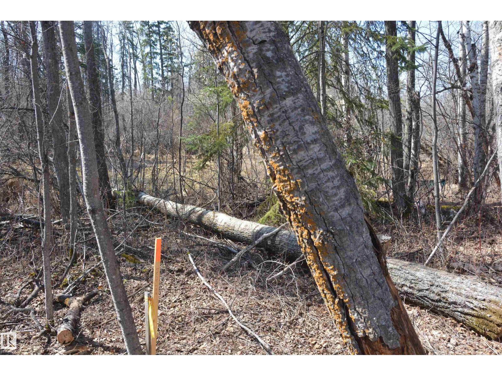 4 2306 Twp Road 540, Rural Lac Ste. Anne County, Alberta T0E 1V0 - Photo 14 - E4480625