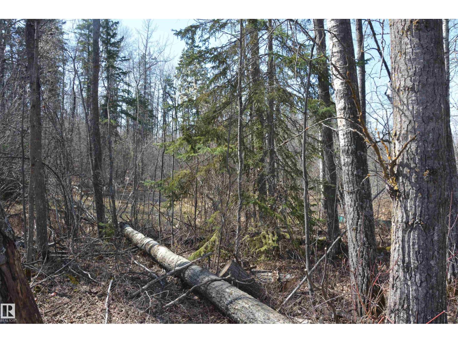 4 2306 Twp Road 540, Rural Lac Ste. Anne County, Alberta T0E 1V0 - Photo 15 - E4480625