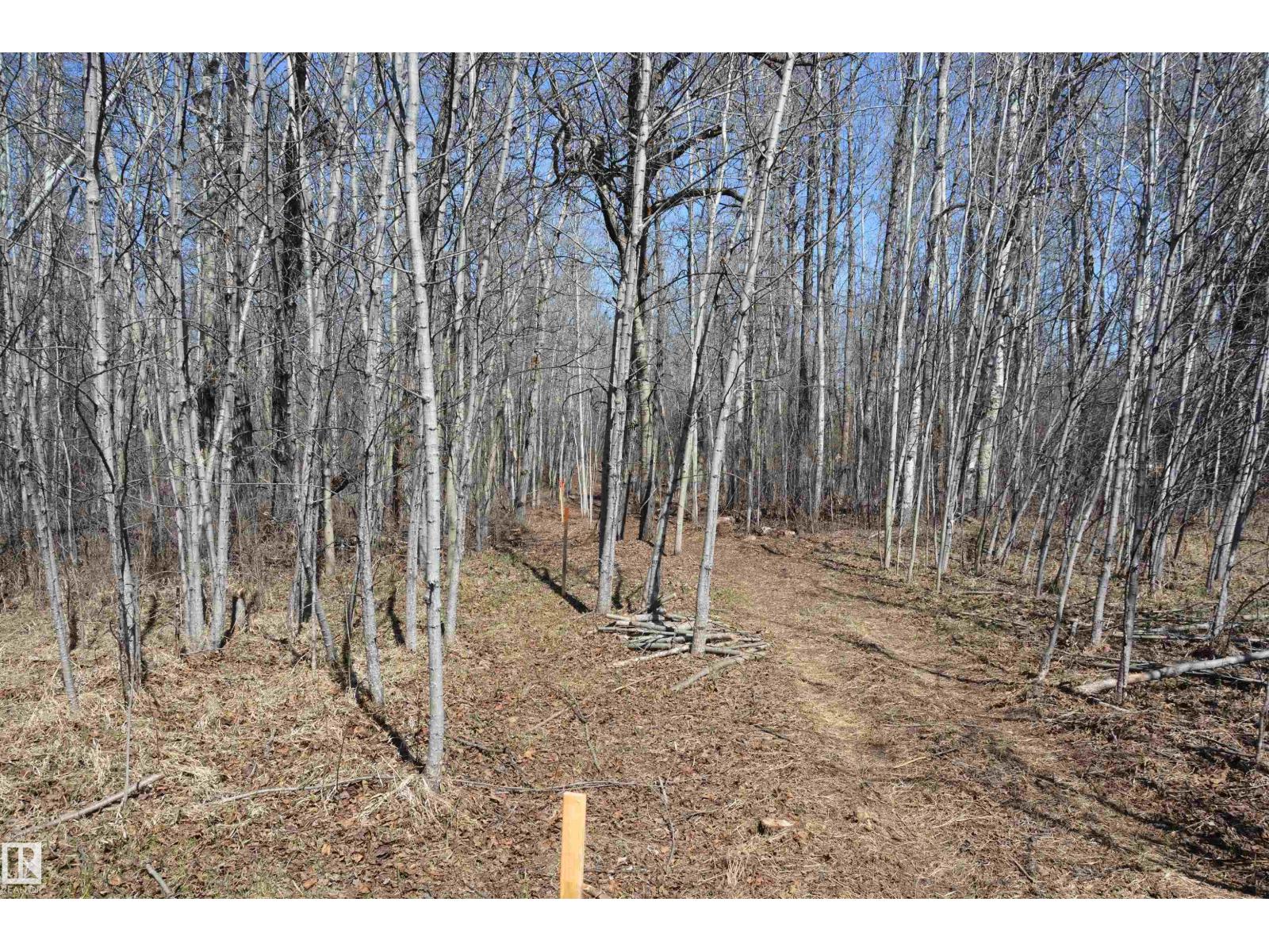 4 2306 Twp Road 540, Rural Lac Ste. Anne County, Alberta T0E 1V0 - Photo 16 - E4480625