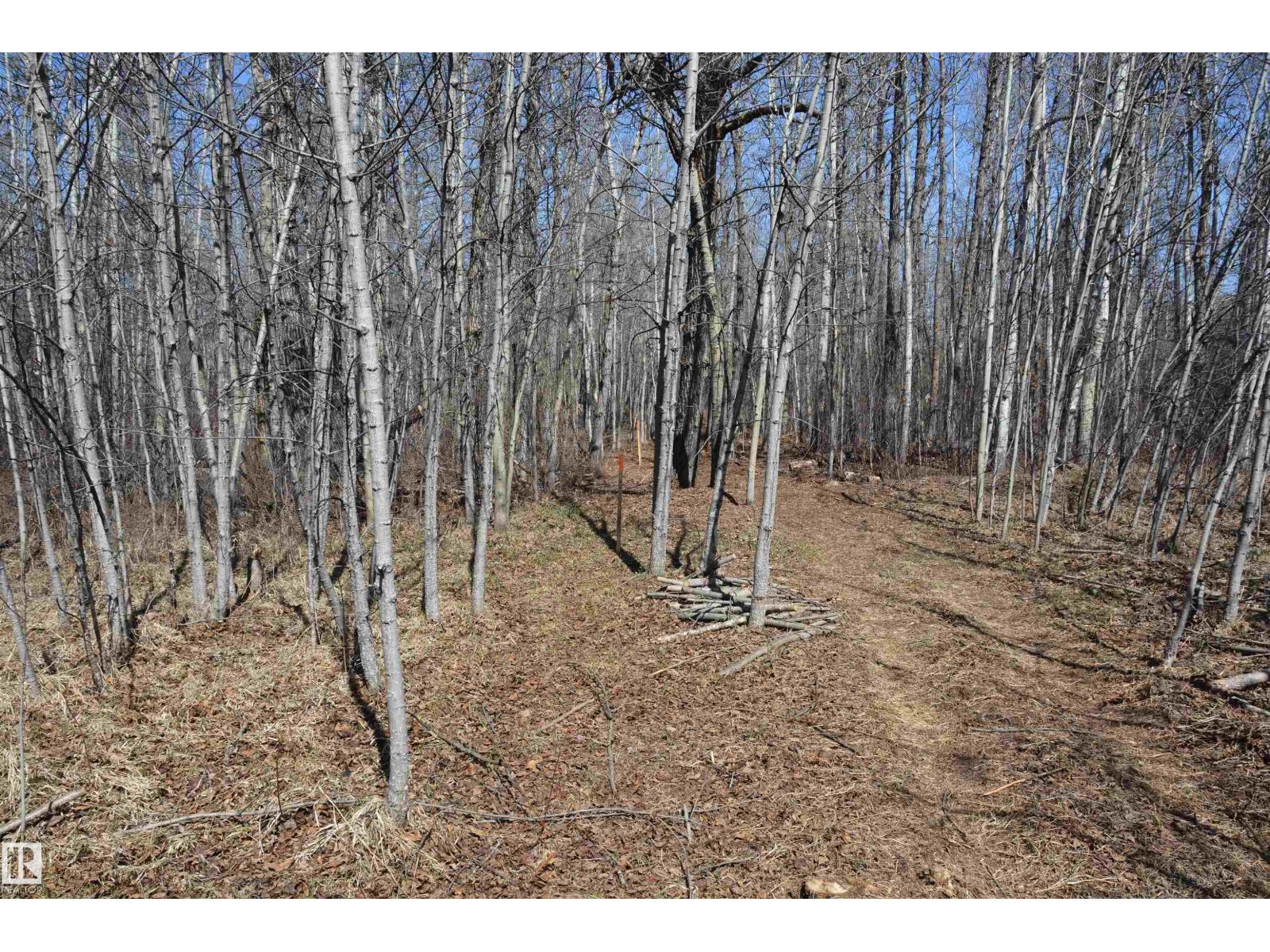 4 2306 Twp Road 540, Rural Lac Ste. Anne County, Alberta T0E 1V0 - Photo 17 - E4480625