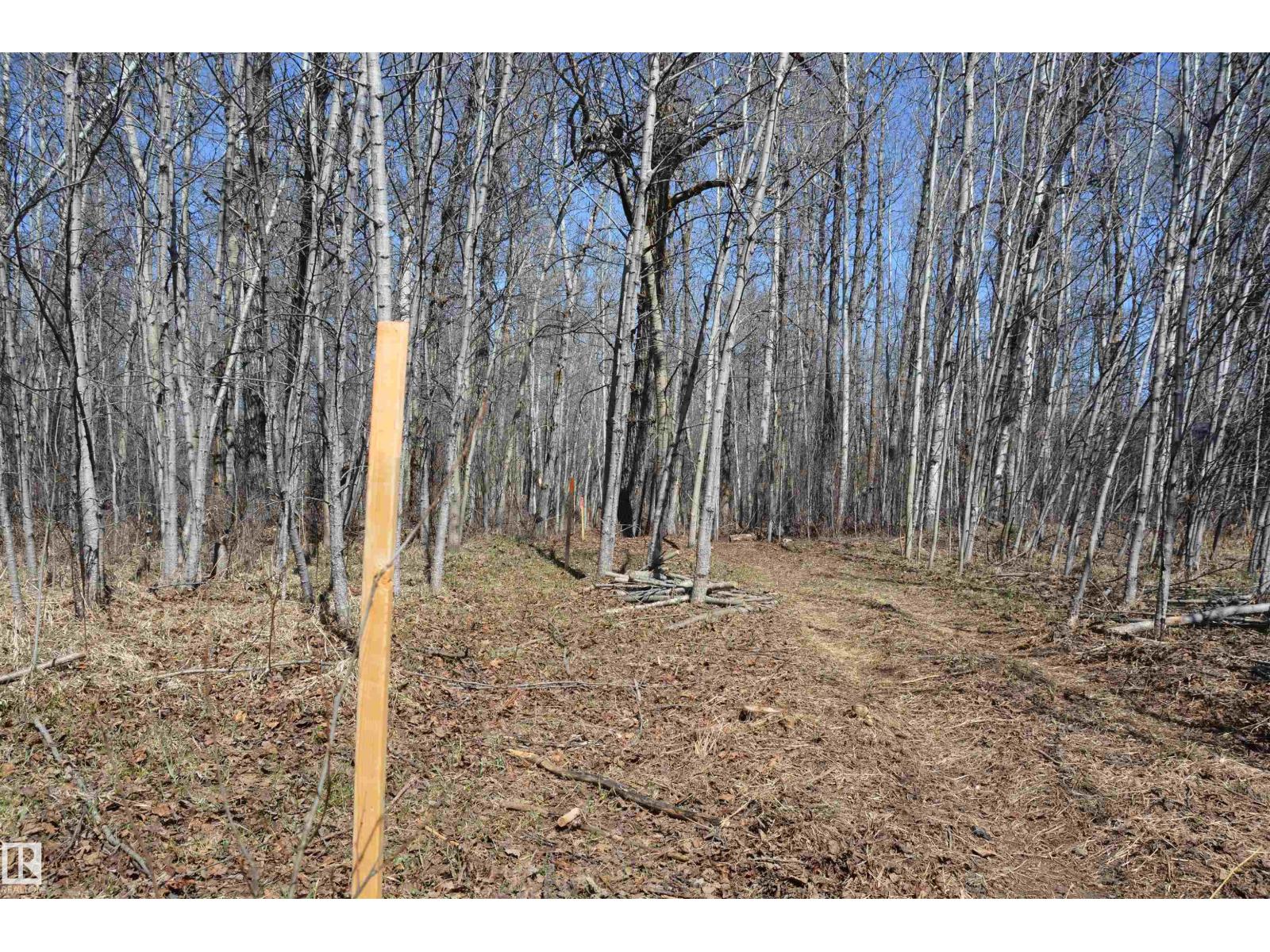 4 2306 Twp Road 540, Rural Lac Ste. Anne County, Alberta T0E 1V0 - Photo 18 - E4480625