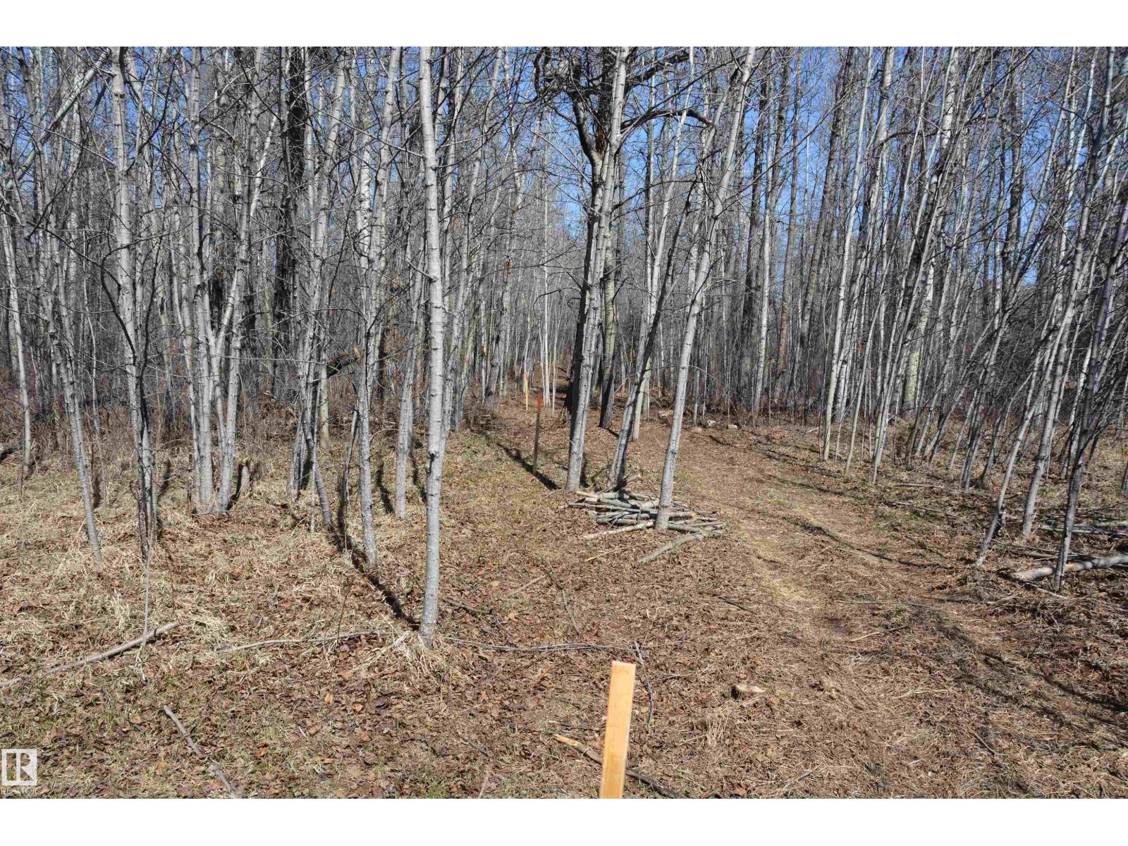 4 2306 Twp Road 540, Rural Lac Ste. Anne County, Alberta T0E 1V0 - Photo 19 - E4480625