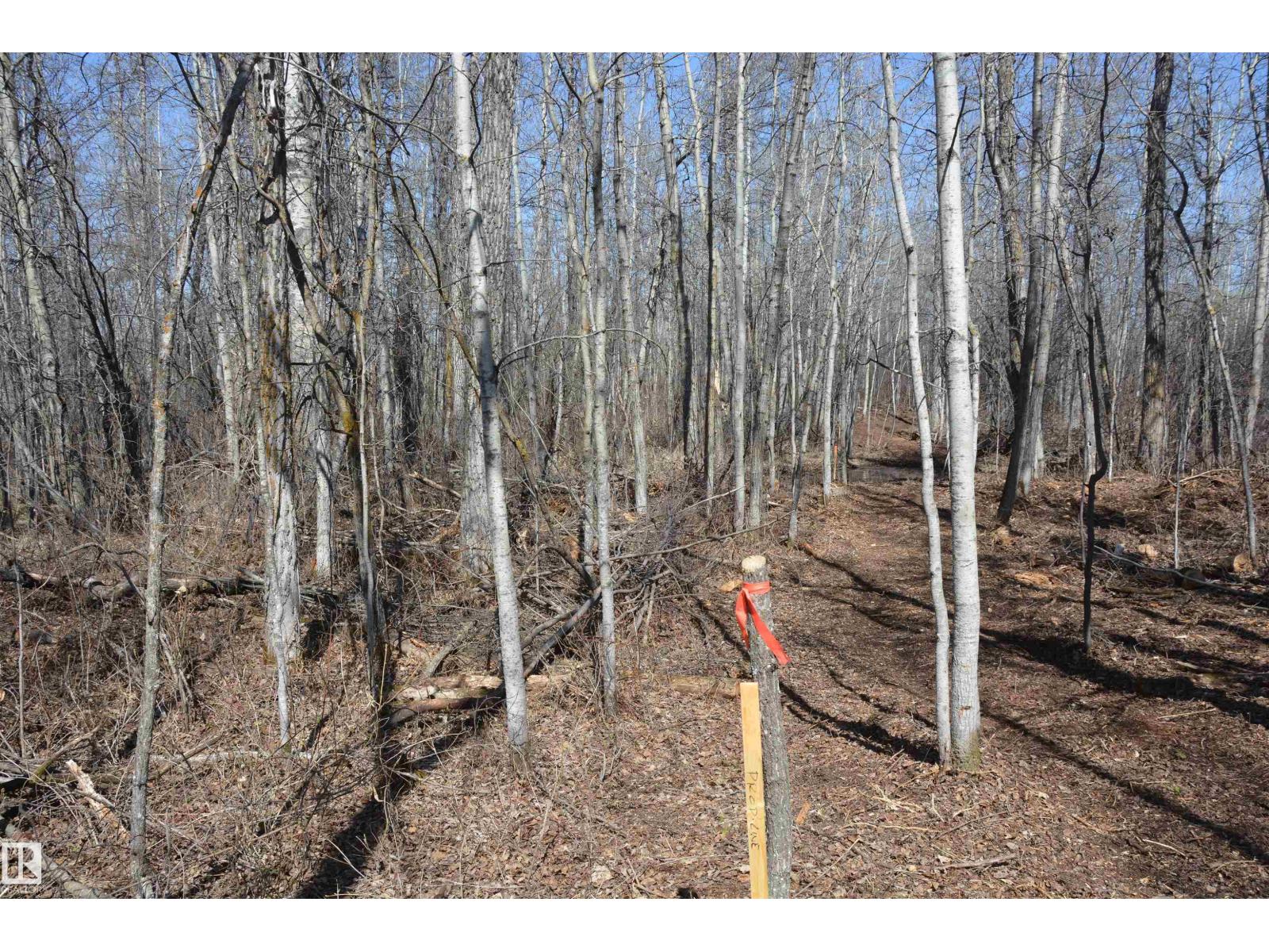 4 2306 Twp Road 540, Rural Lac Ste. Anne County, Alberta T0E 1V0 - Photo 20 - E4480625