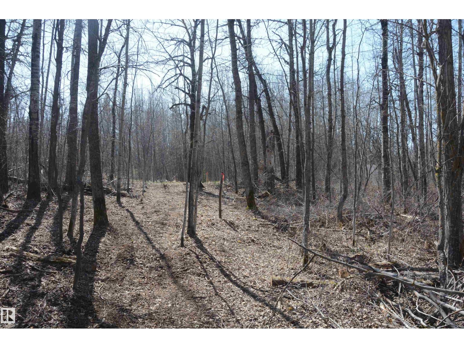 4 2306 Twp Road 540, Rural Lac Ste. Anne County, Alberta T0E 1V0 - Photo 21 - E4480625