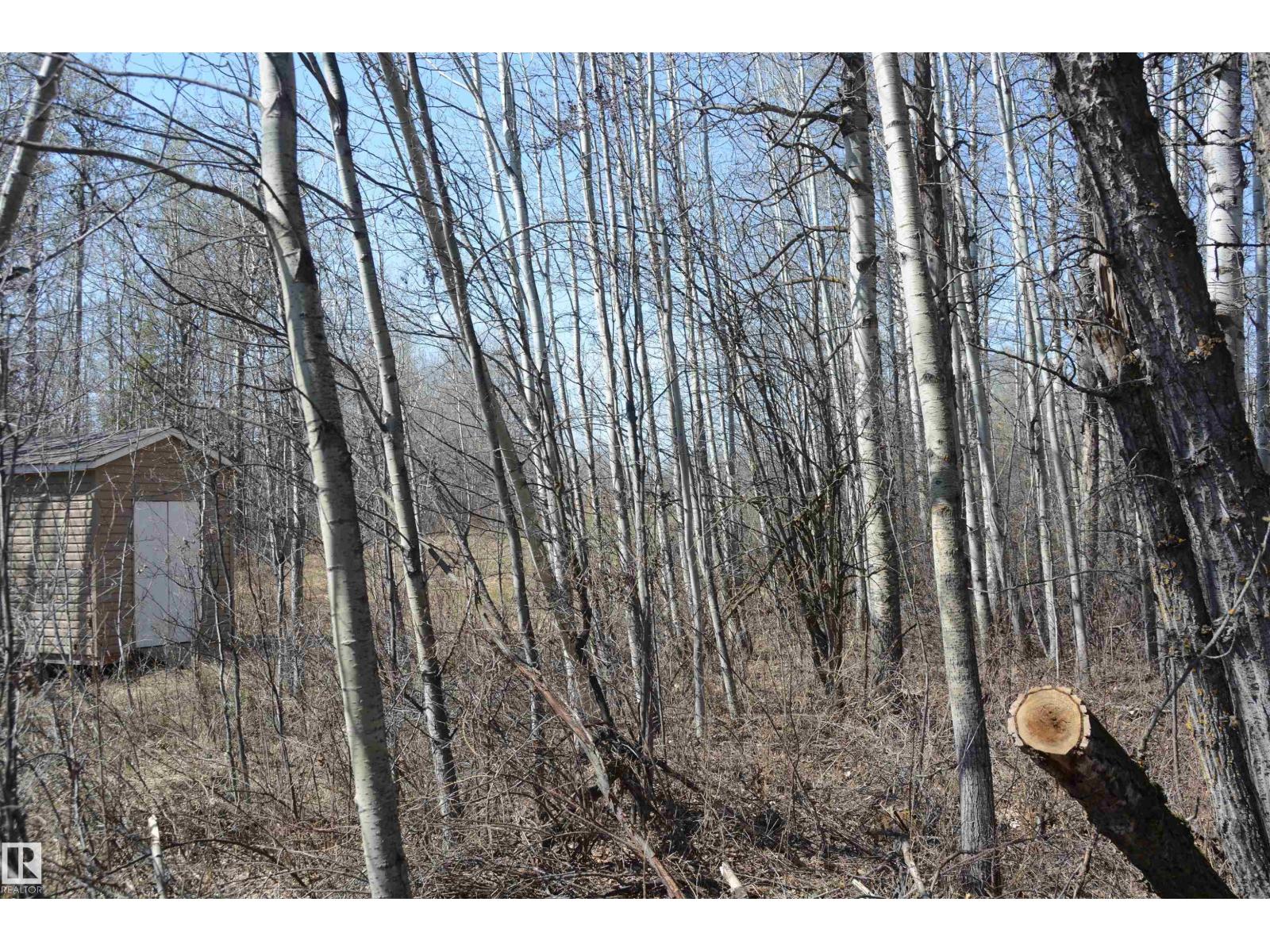 4 2306 Twp Road 540, Rural Lac Ste. Anne County, Alberta T0E 1V0 - Photo 22 - E4480625