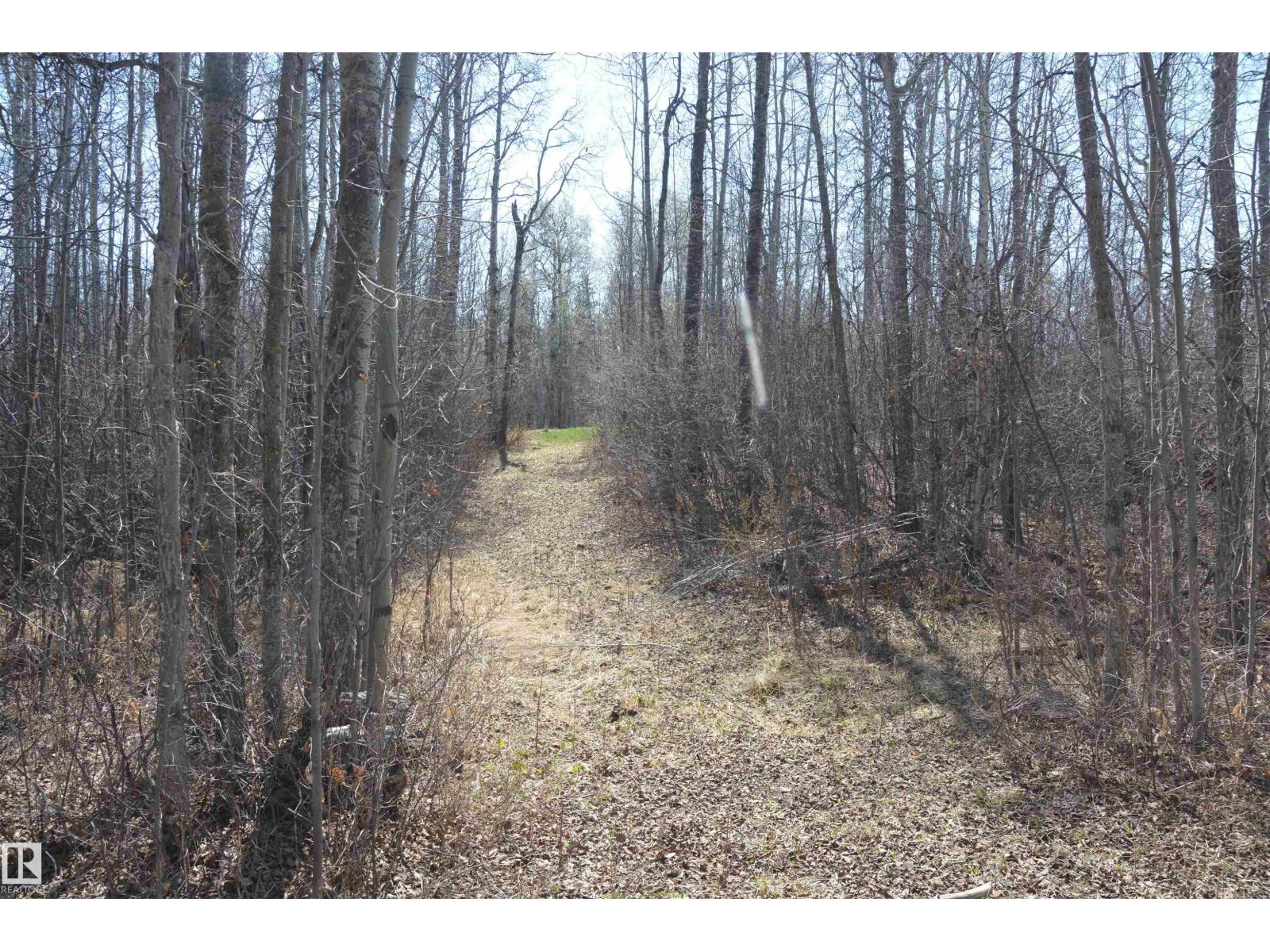 4 2306 Twp Road 540, Rural Lac Ste. Anne County, Alberta T0E 1V0 - Photo 26 - E4480625