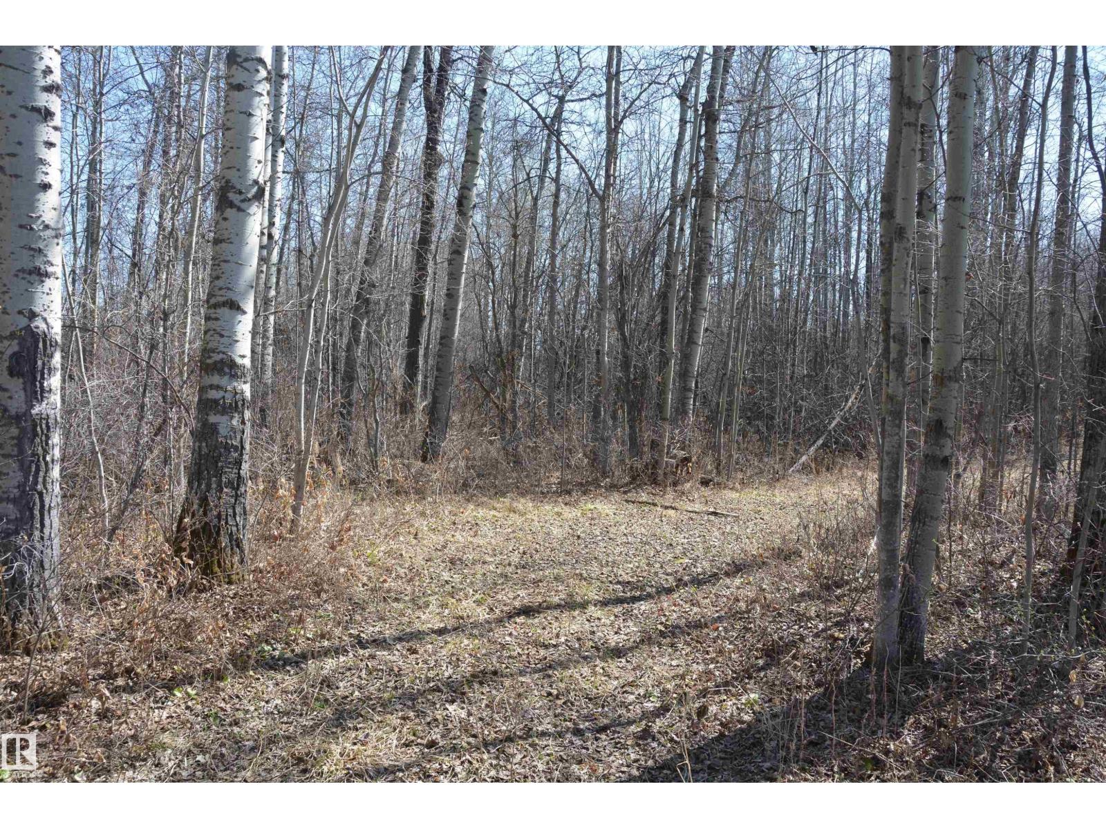 4 2306 Twp Road 540, Rural Lac Ste. Anne County, Alberta T0E 1V0 - Photo 3 - E4480625