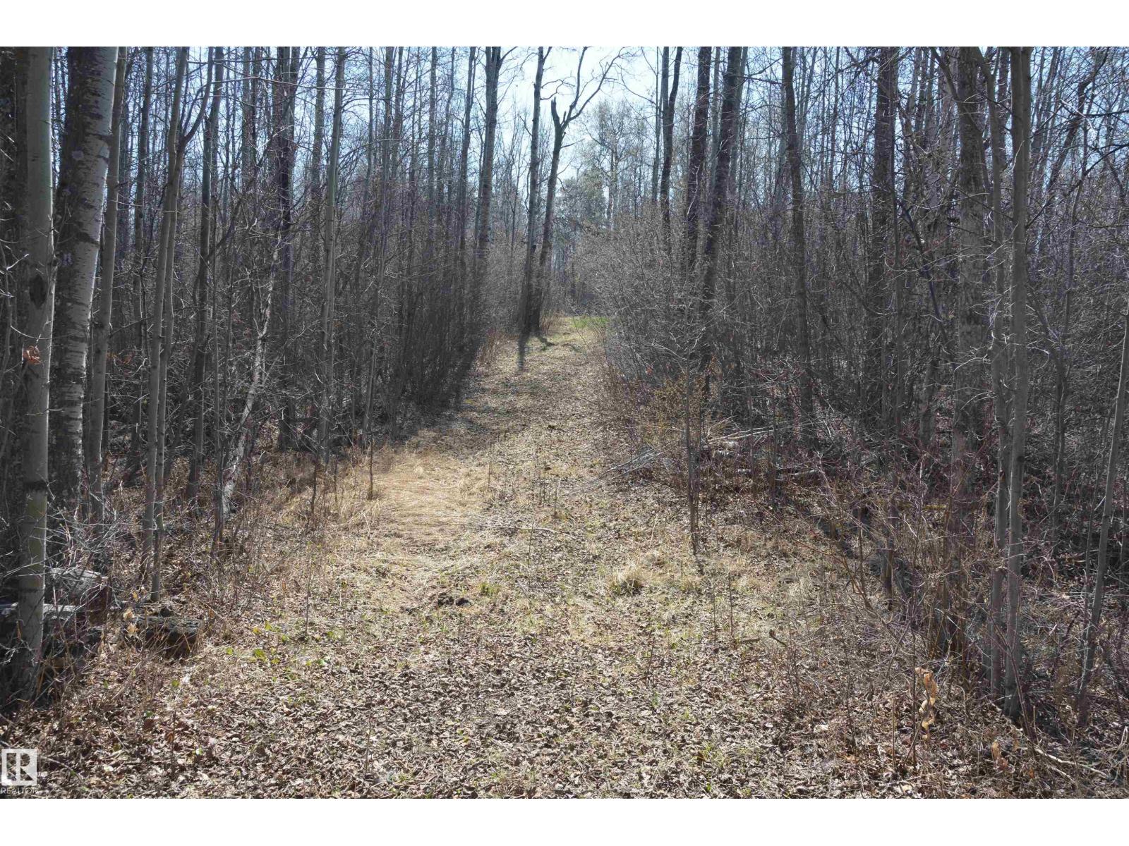 4 2306 Twp Road 540, Rural Lac Ste. Anne County, Alberta T0E 1V0 - Photo 4 - E4480625