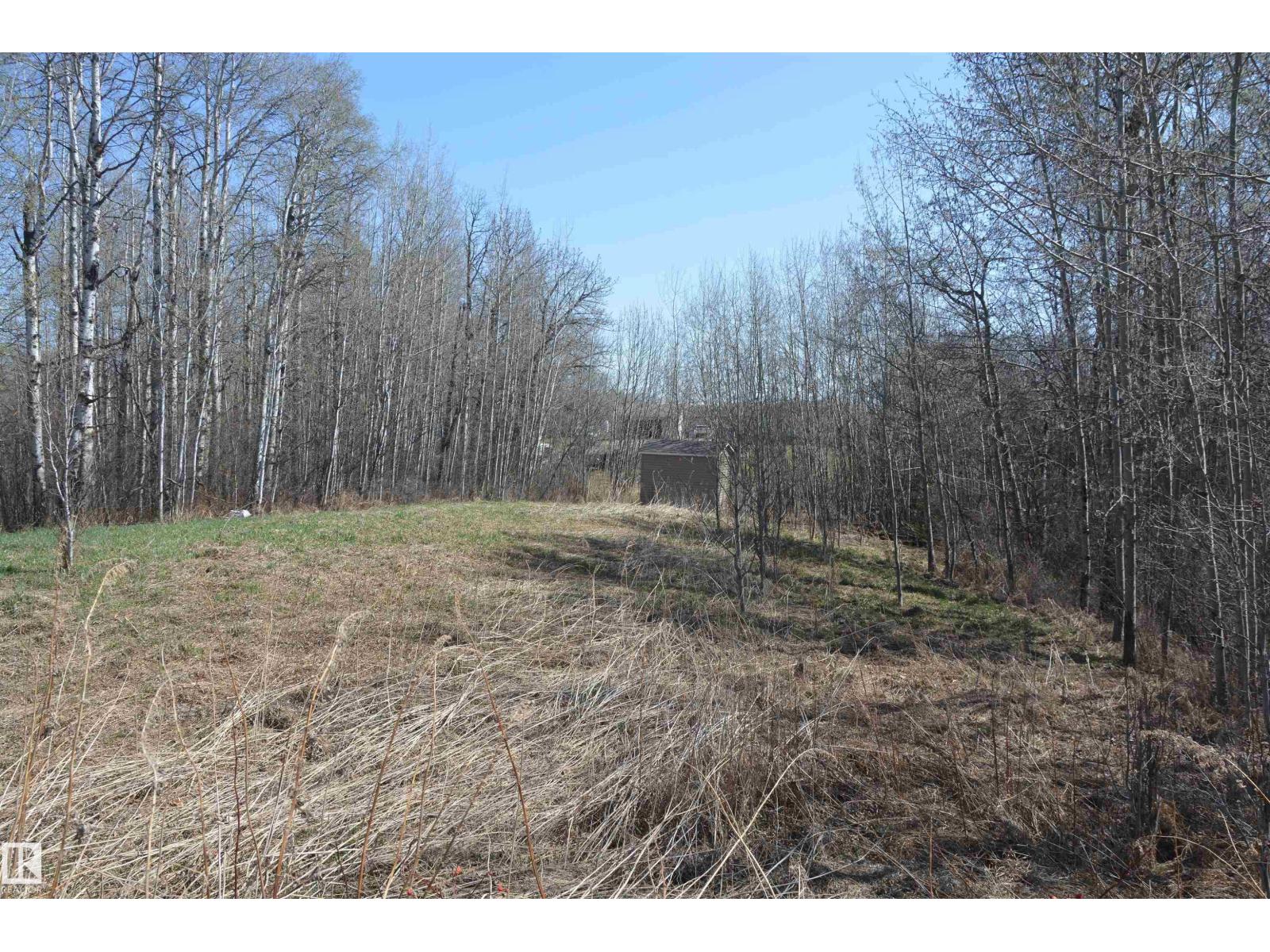 4 2306 Twp Road 540, Rural Lac Ste. Anne County, Alberta T0E 1V0 - Photo 7 - E4480625