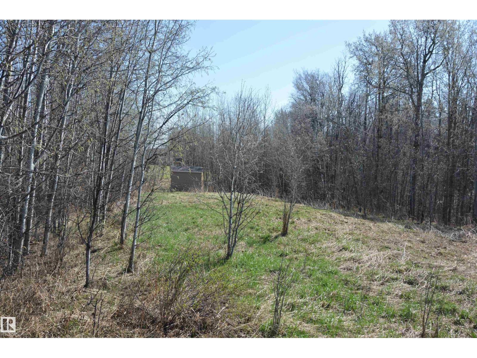 4 2306 Twp Road 540, Rural Lac Ste. Anne County, Alberta T0E 1V0 - Photo 8 - E4480625