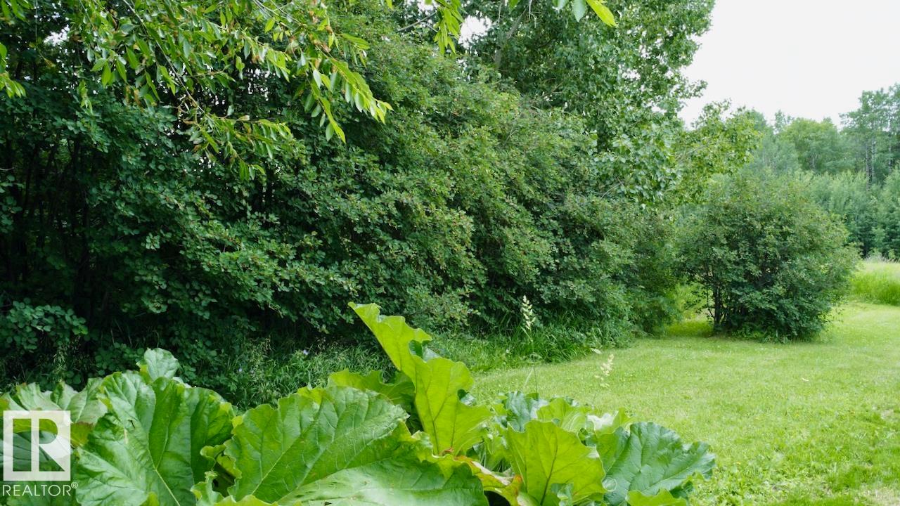 53320 Rge Road 55, Rural Parkland County, Alberta  T0E 0V0 - Photo 46 - E4480648