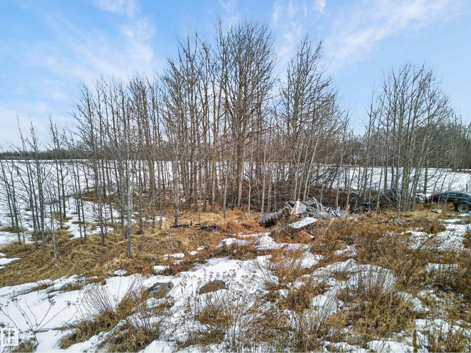 #14 53213 Rge Road 20, Rural Parkland County, Alberta  T0E 0H0 - Photo 18 - E4480705