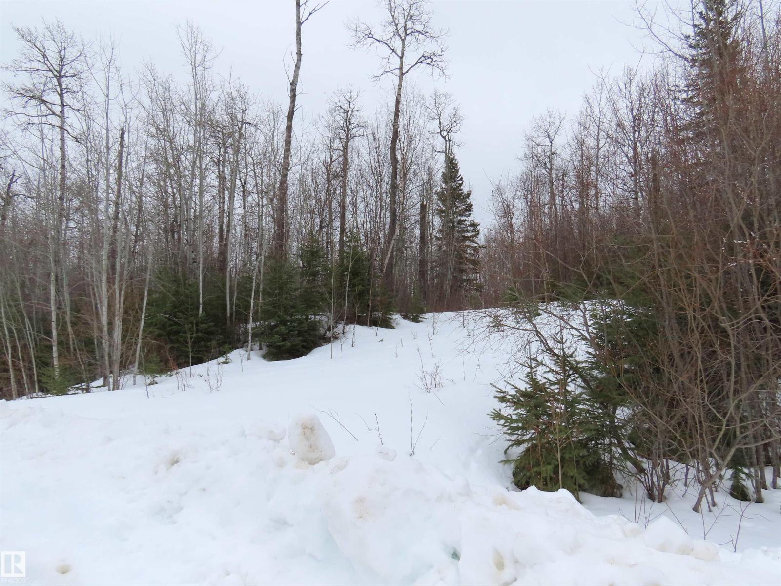 #33 56110 Rge Road 13, Rural Lac Ste. Anne County, Alberta  T0E 1V0 - Photo 1 - E4480756