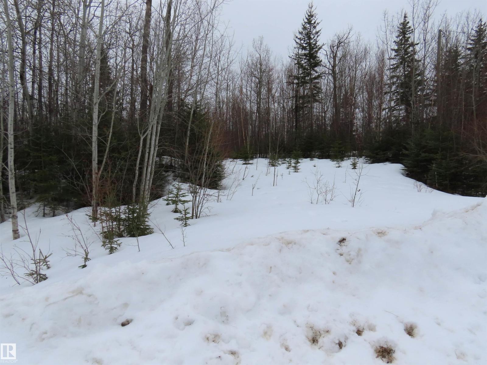 #33 56110 Rge Road 13, Rural Lac Ste. Anne County, Alberta T0E 1V0 - Photo 3 - E4480756