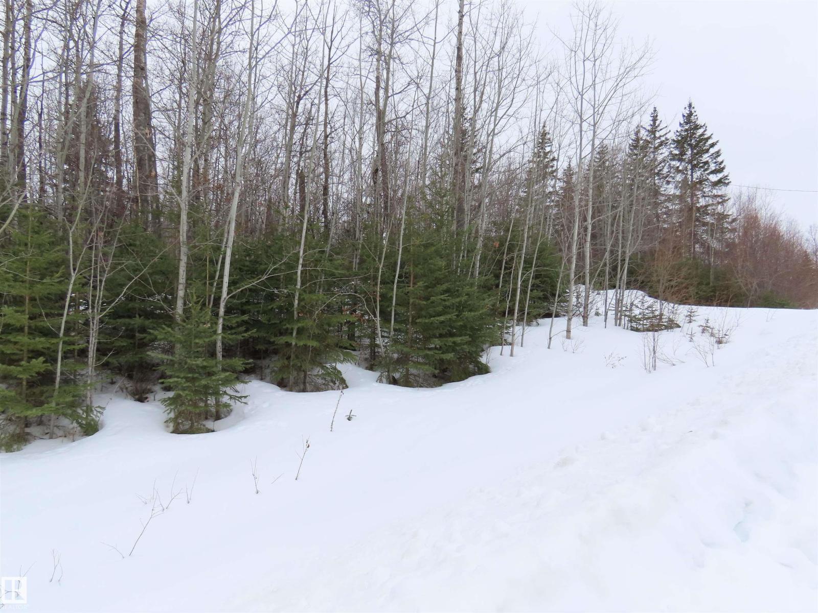 #33 56110 Rge Road 13, Rural Lac Ste. Anne County, Alberta T0E 1V0 - Photo 4 - E4480756