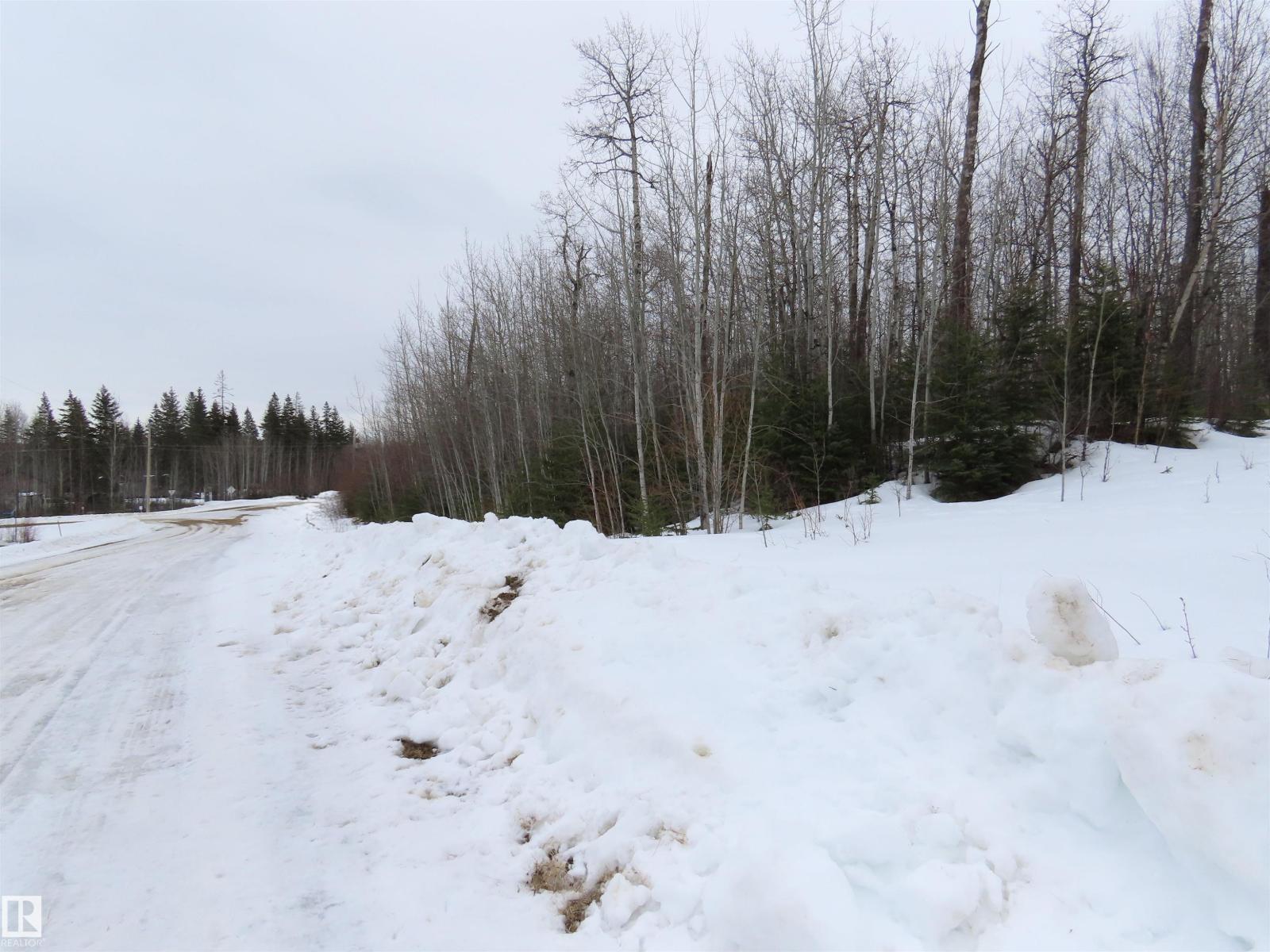 #33 56110 Rge Road 13, Rural Lac Ste. Anne County, Alberta T0E 1V0 - Photo 5 - E4480756