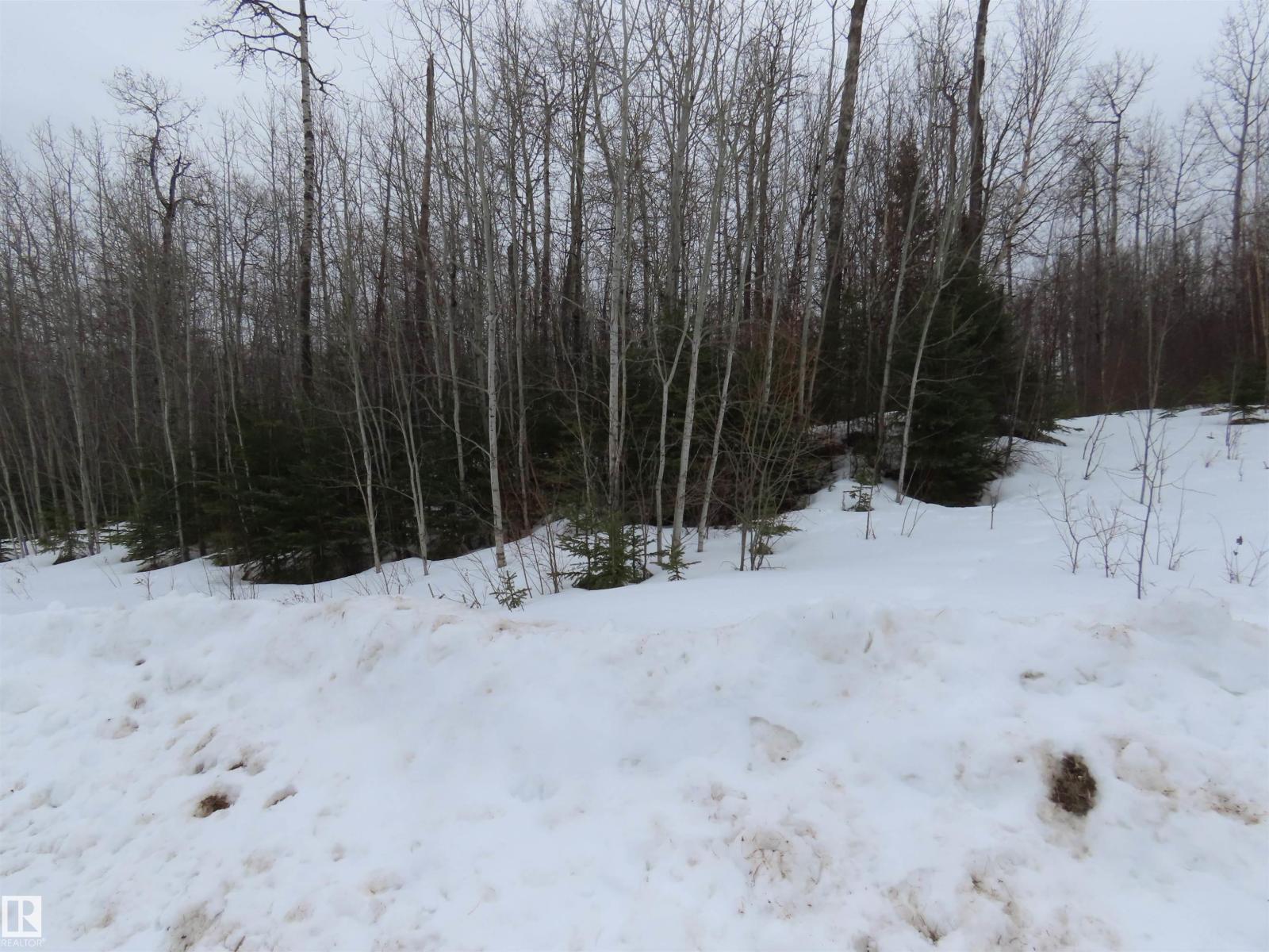 #33 56110 Rge Road 13, Rural Lac Ste. Anne County, Alberta T0E 1V0 - Photo 6 - E4480756