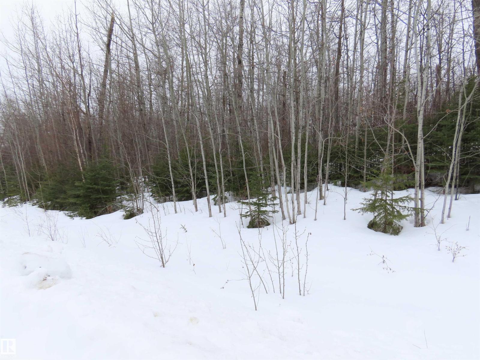 #33 56110 Rge Road 13, Rural Lac Ste. Anne County, Alberta T0E 1V0 - Photo 7 - E4480756