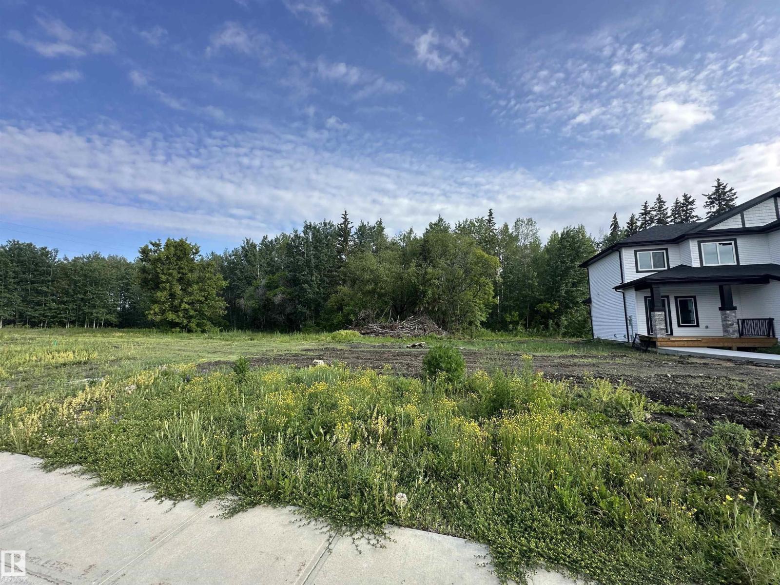 5512 52a Av, Wabamun, Alberta  T0E 2K0 - Photo 2 - E4480923