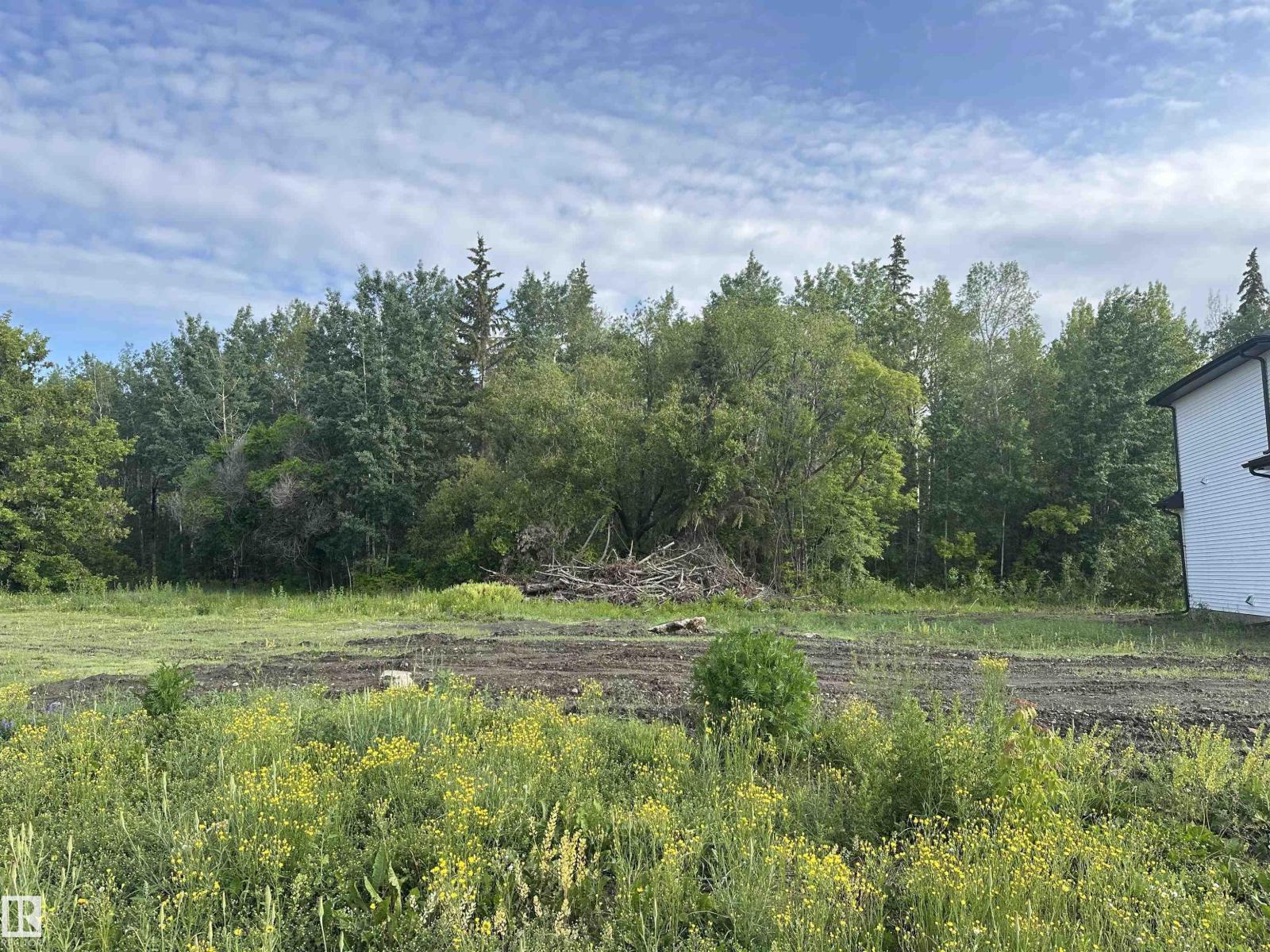 5512 52a Av, Wabamun, Alberta  T0E 2K0 - Photo 3 - E4480923