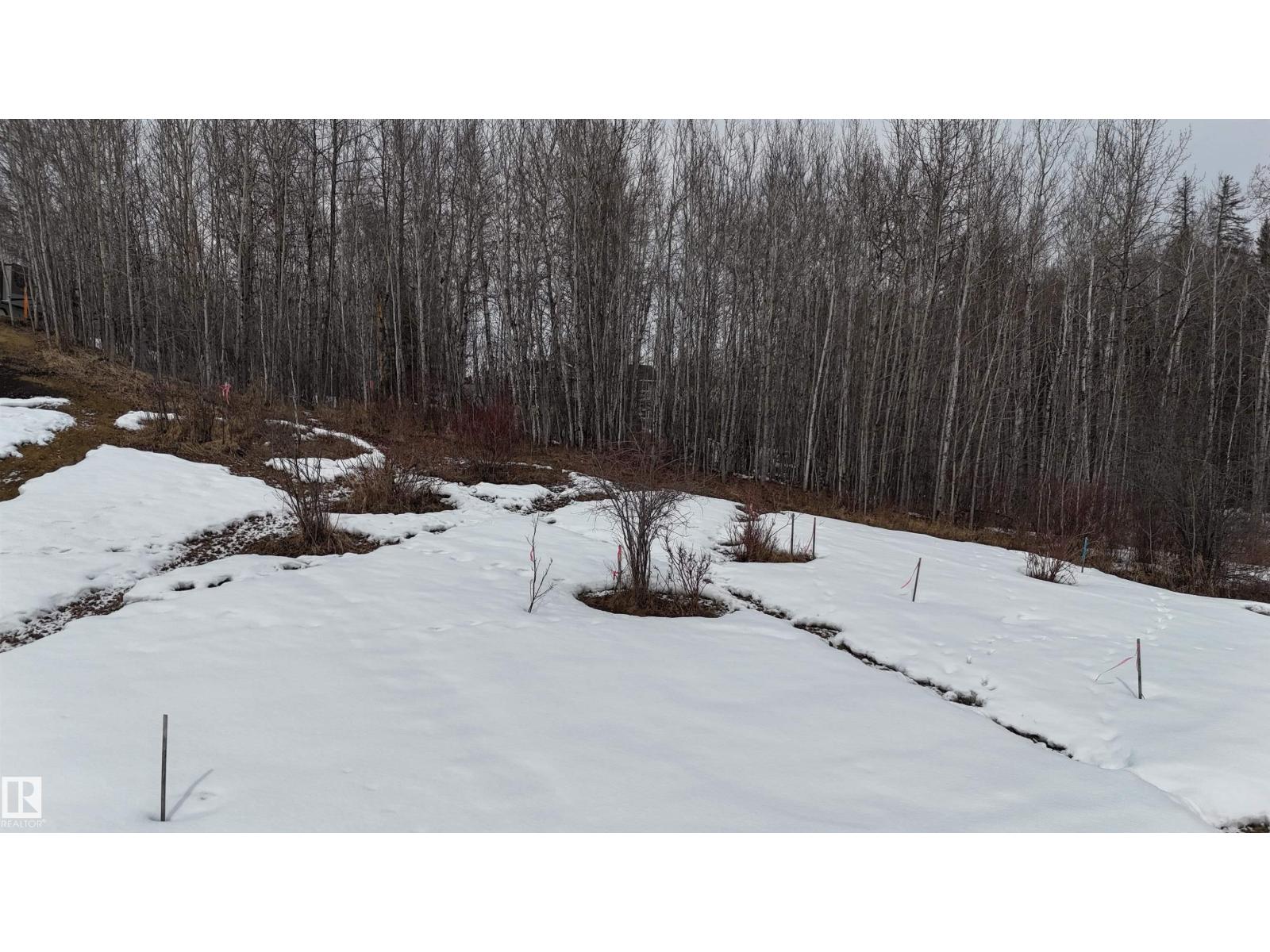 136 Birchwood Village Greens, Rural Brazeau County, Alberta T0C 1W0 - Photo 2 - E4480956