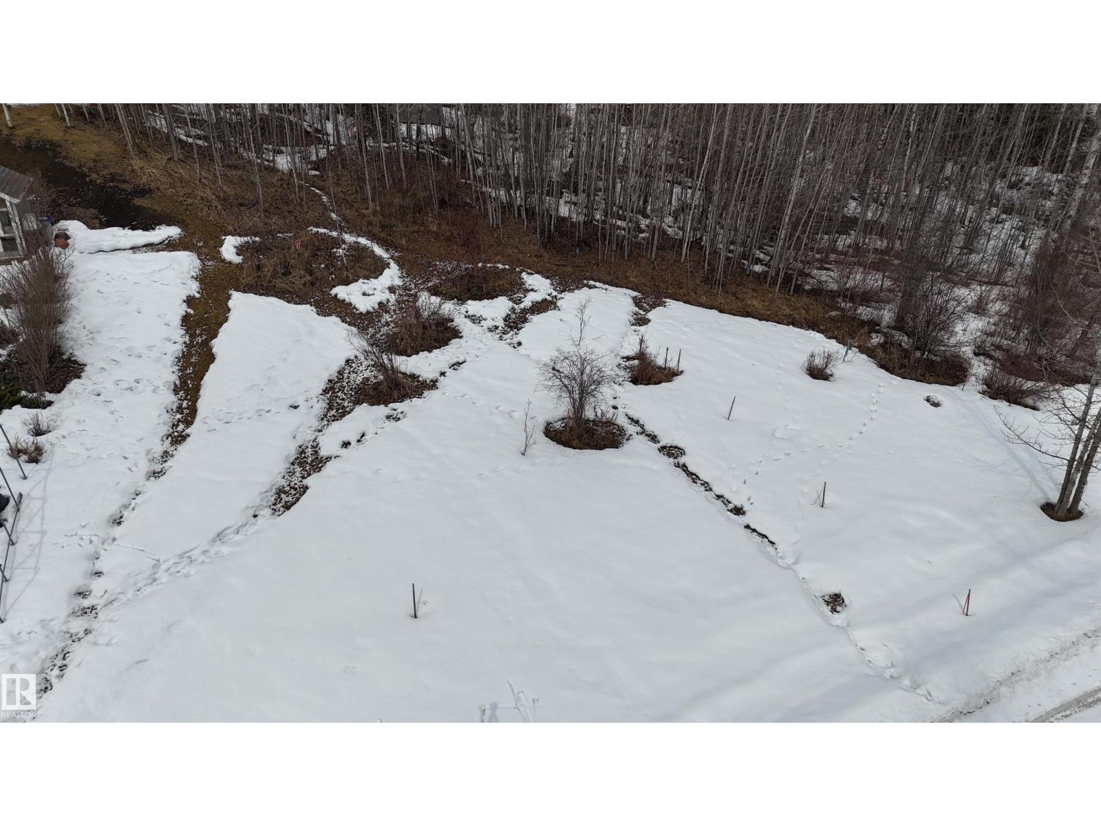 136 Birchwood Village Greens, Rural Brazeau County, Alberta T0C 1W0 - Photo 3 - E4480956