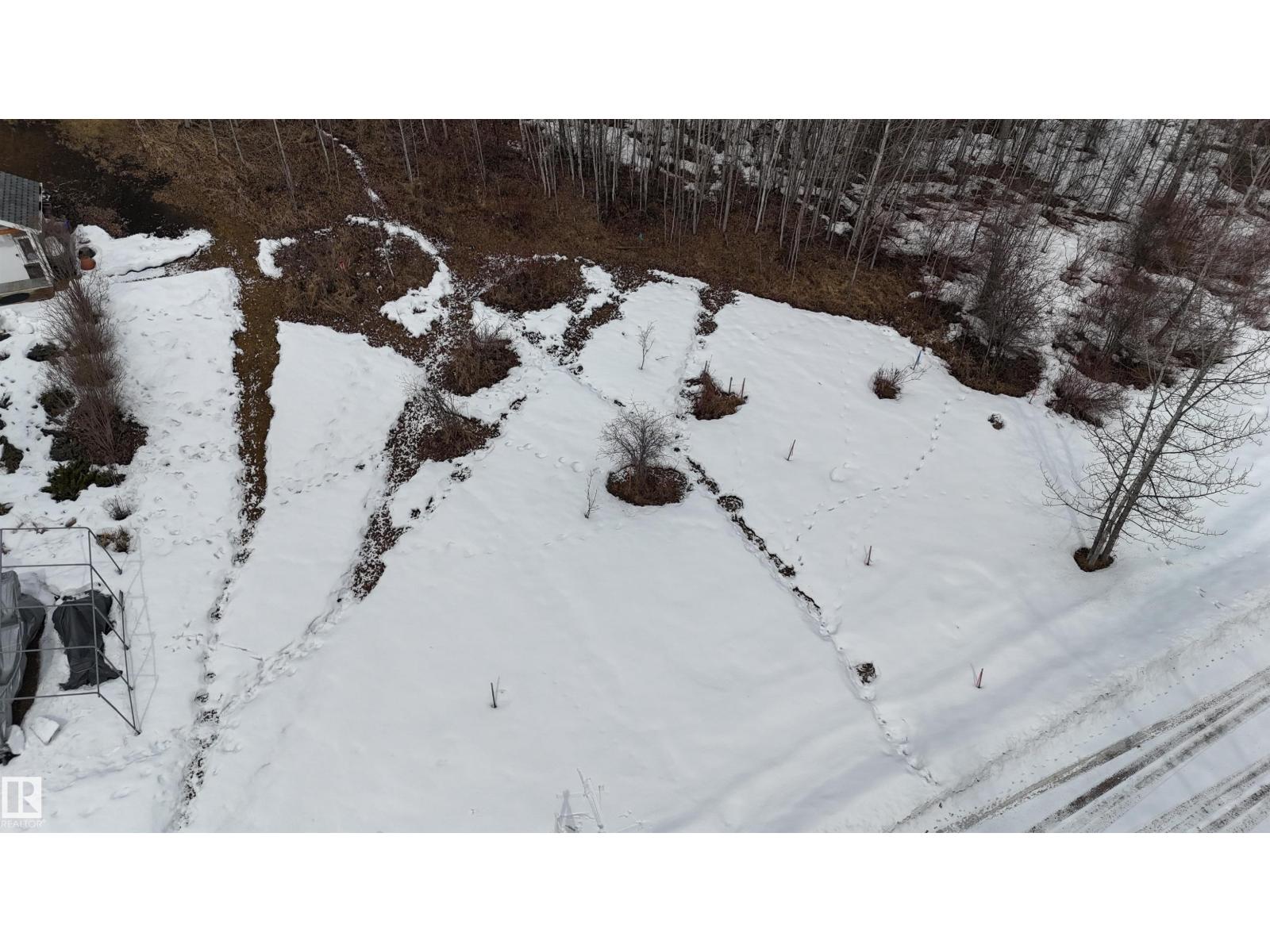 136 Birchwood Village Greens, Rural Brazeau County, Alberta T0C 1W0 - Photo 4 - E4480956