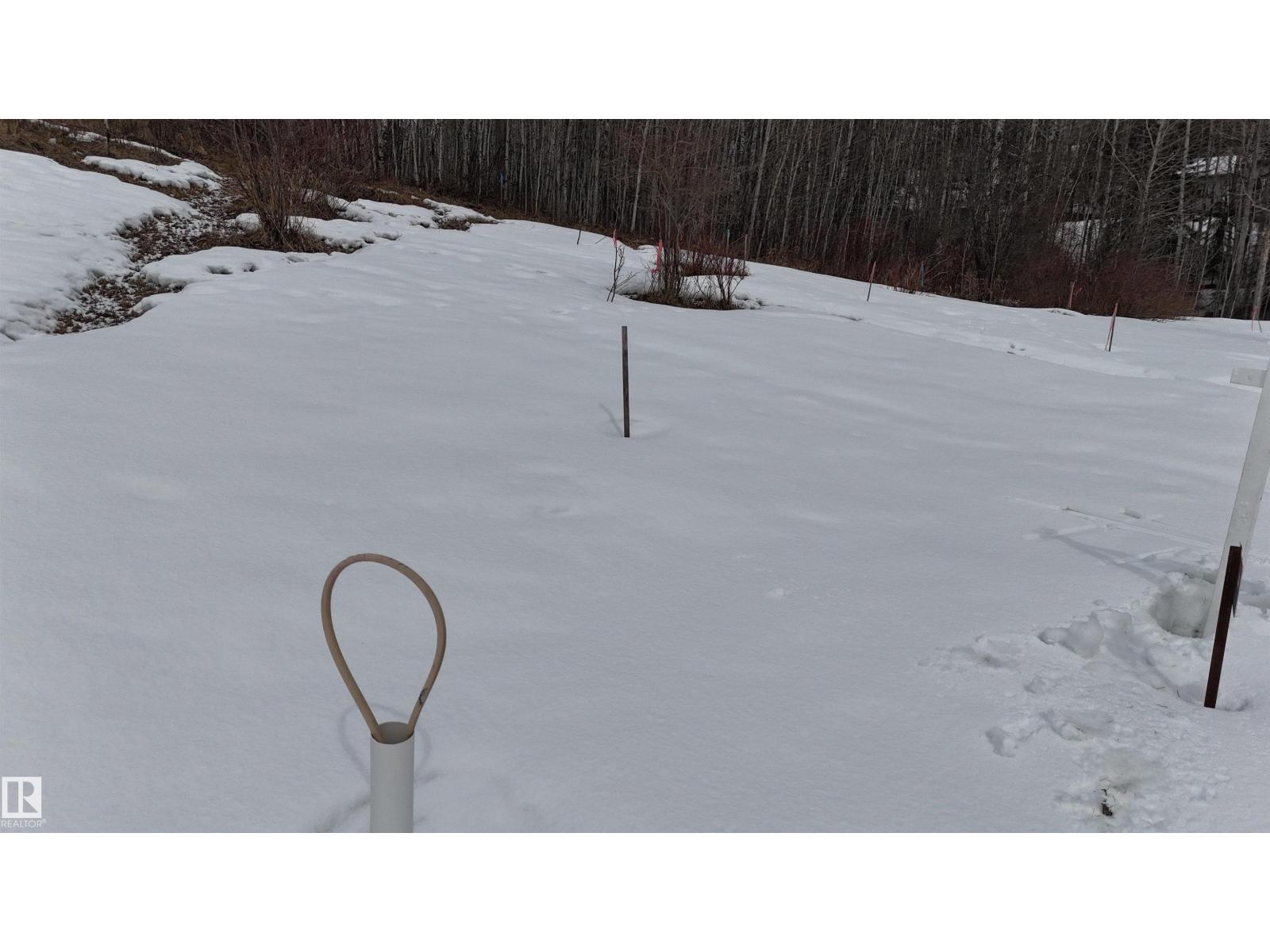 136 Birchwood Village Greens, Rural Brazeau County, Alberta T0C 1W0 - Photo 5 - E4480956