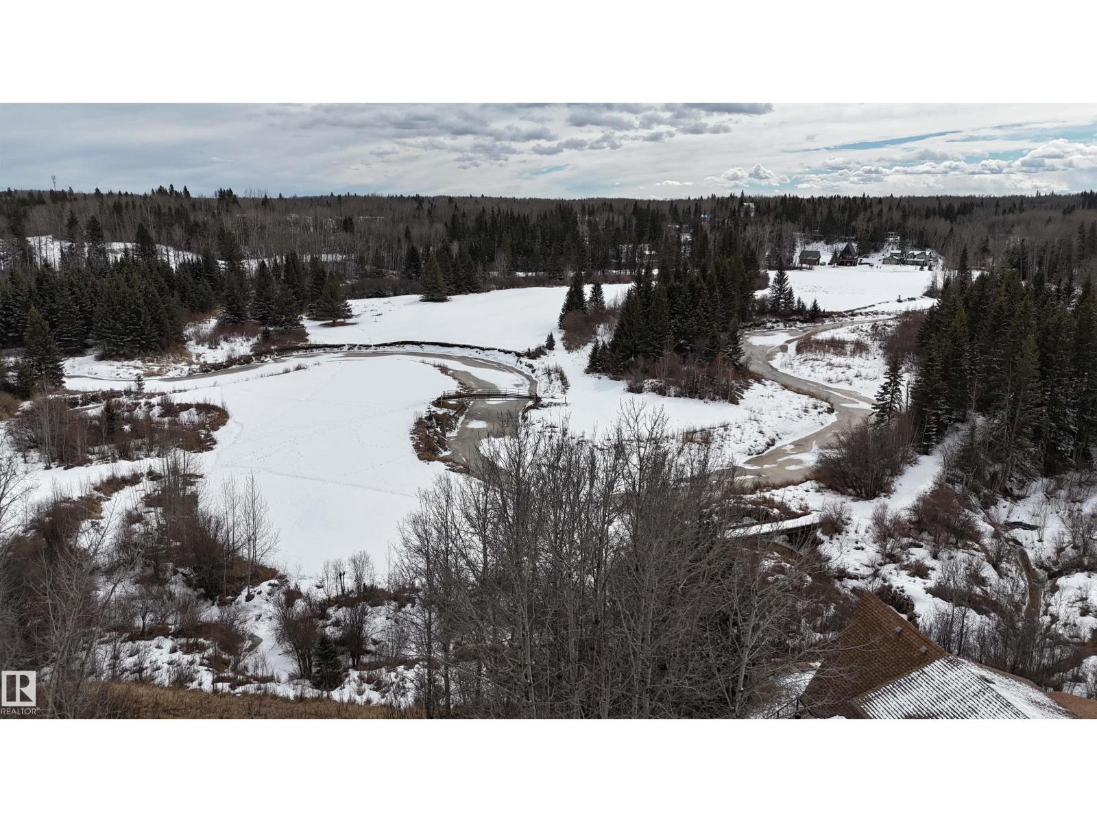 136 Birchwood Village Greens, Rural Brazeau County, Alberta T0C 1W0 - Photo 7 - E4480956