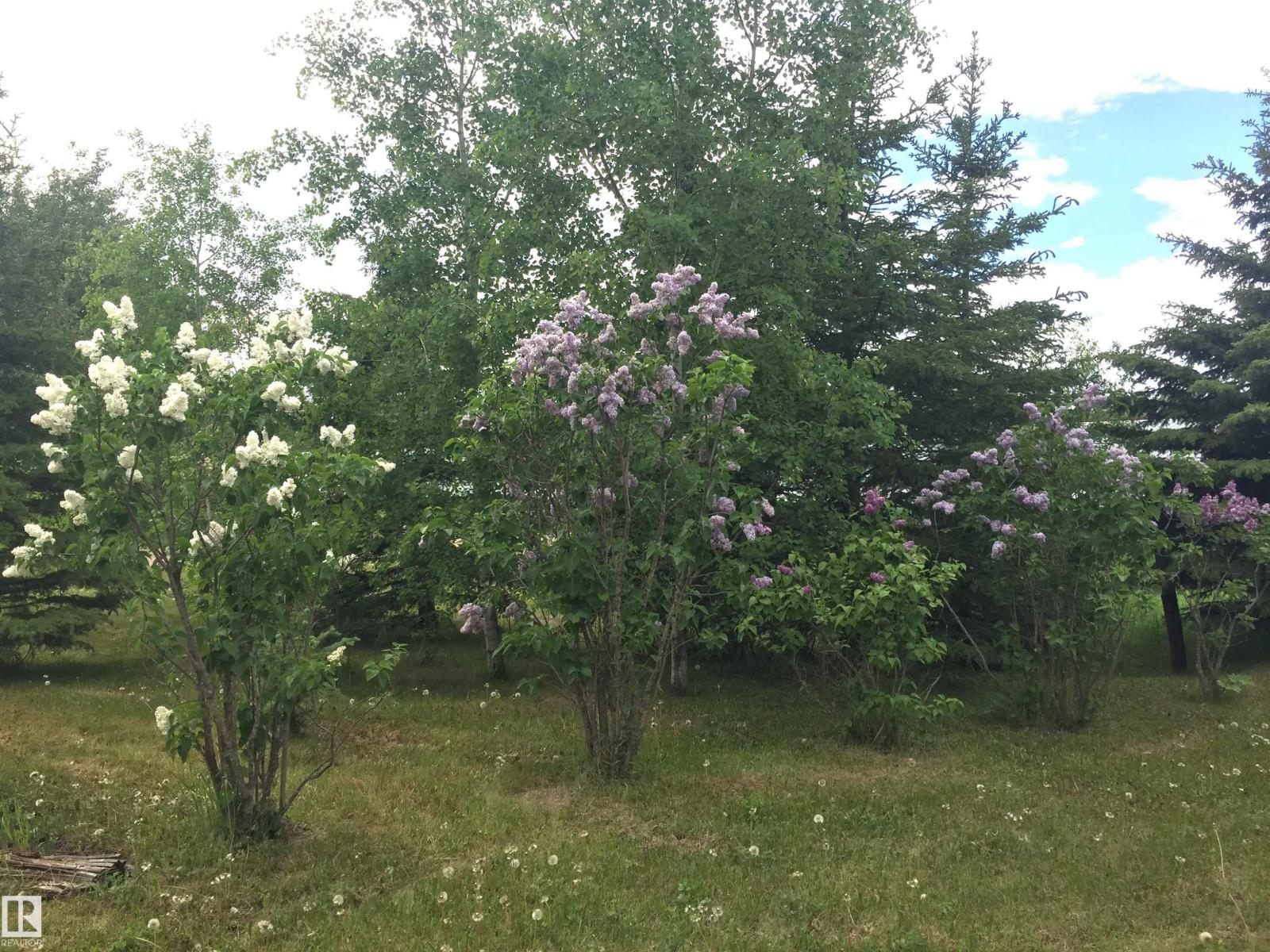 Main Street First Ave, Rural Parkland County, Alberta T0E 0S0 - Photo 33 - E4480984