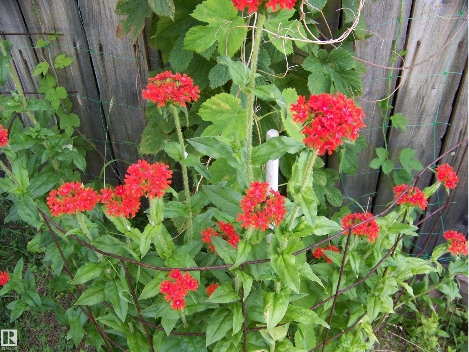 Main Street First Ave, Rural Parkland County, Alberta T0E 0S0 - Photo 35 - E4480984