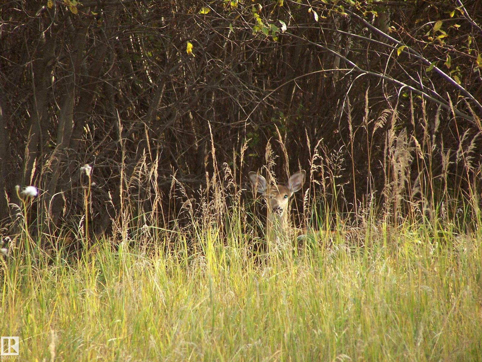 Main Street First Ave, Rural Parkland County, Alberta T0E 0S0 - Photo 39 - E4480984