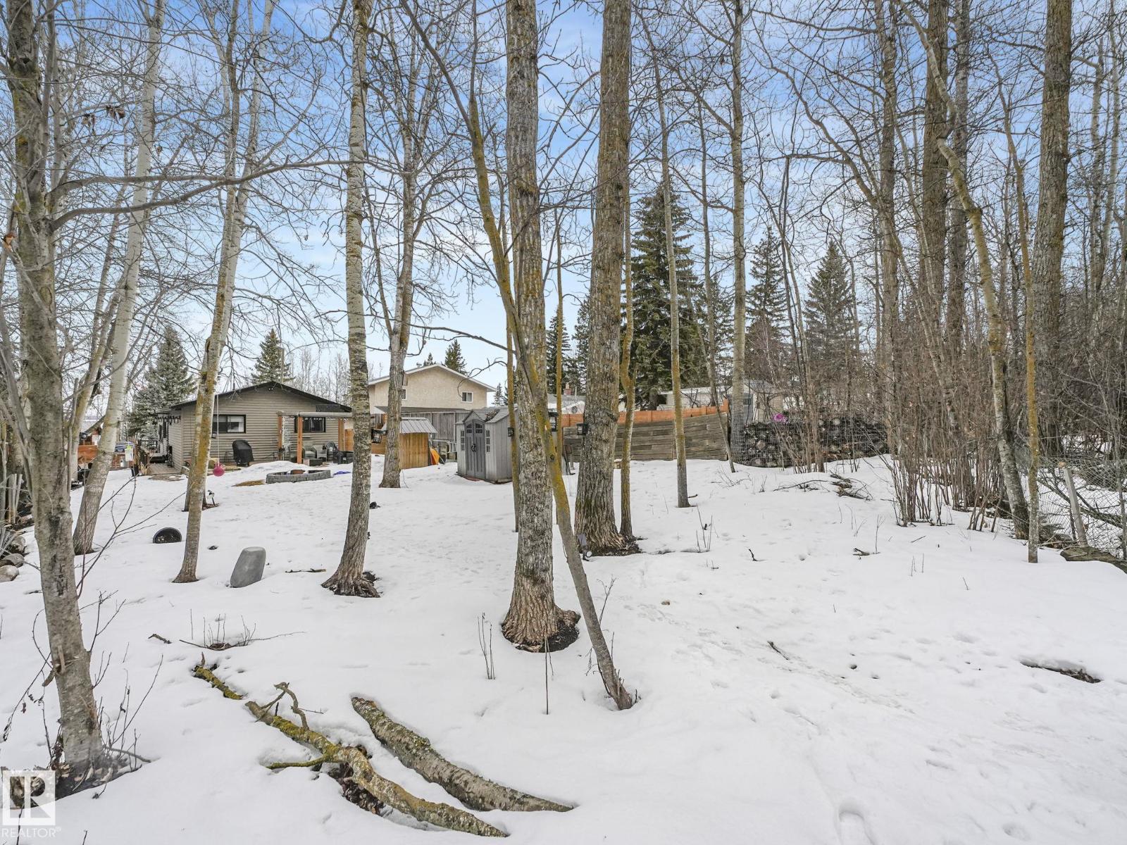 213 Crystal Springs Dr, Rural Wetaskiwin County, Alberta T0C 2V0 - Photo 56 - E4481021