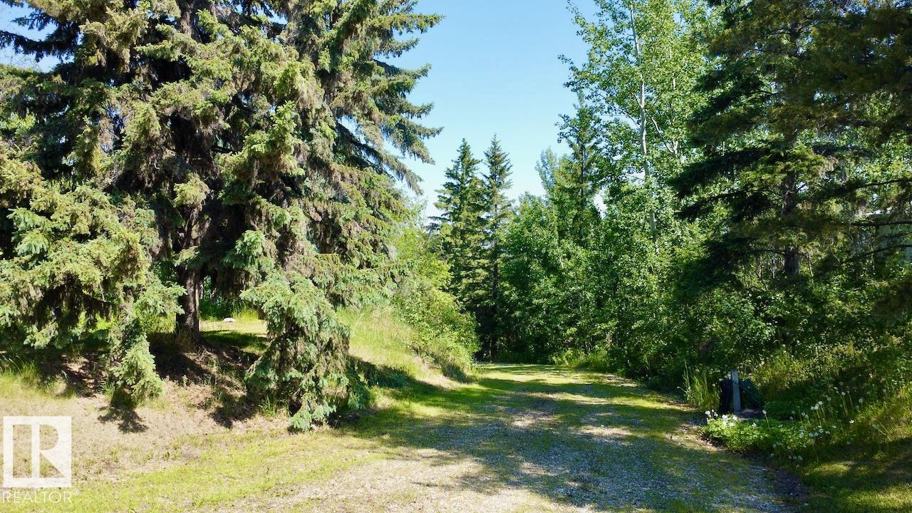 19a 52515 Rge Rd 52, Rural Parkland County, Alberta T0E 2B0 - Photo 7 - E4481075